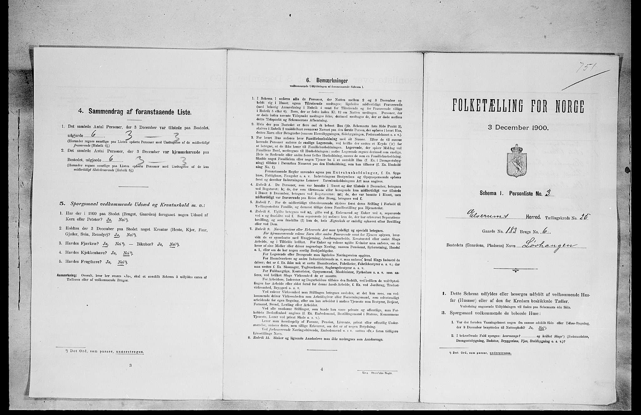 SAH, 1900 census for Elverum, 1900, p. 3006