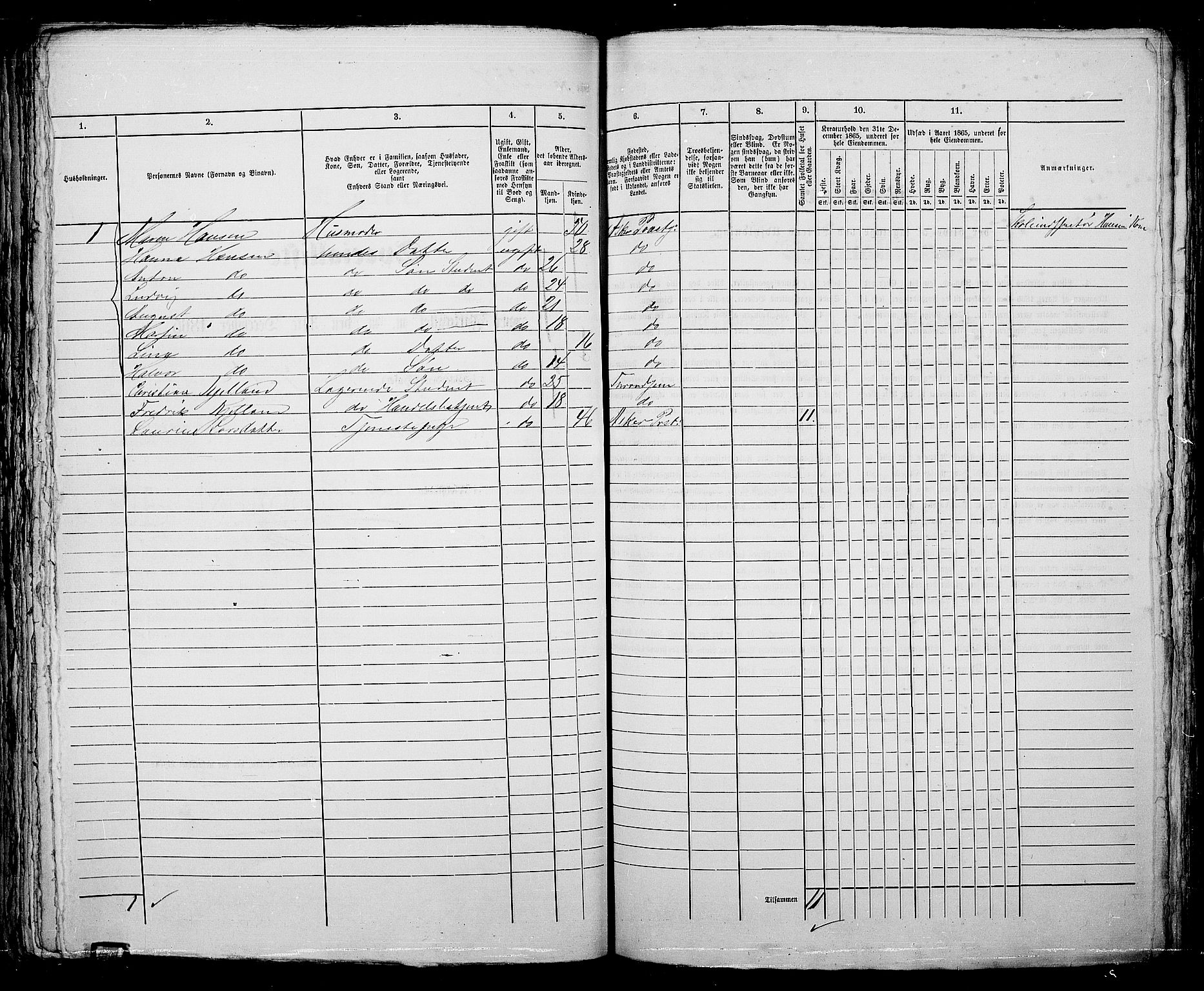 RA, 1865 census for Kristiania, 1865, p. 5204