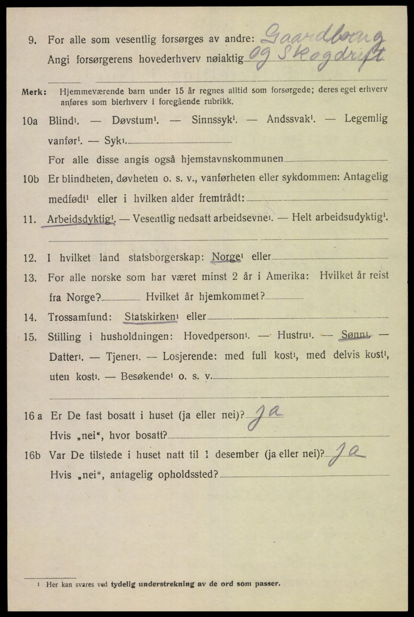 SAK, 1920 census for Holum, 1920, p. 2096