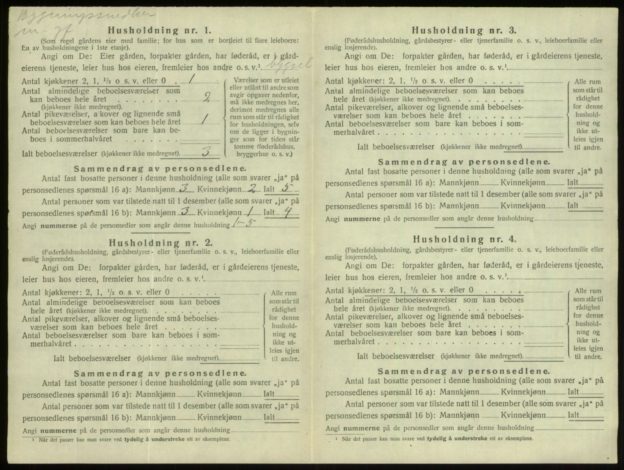 SAB, 1920 census for Hornindal, 1920, p. 484