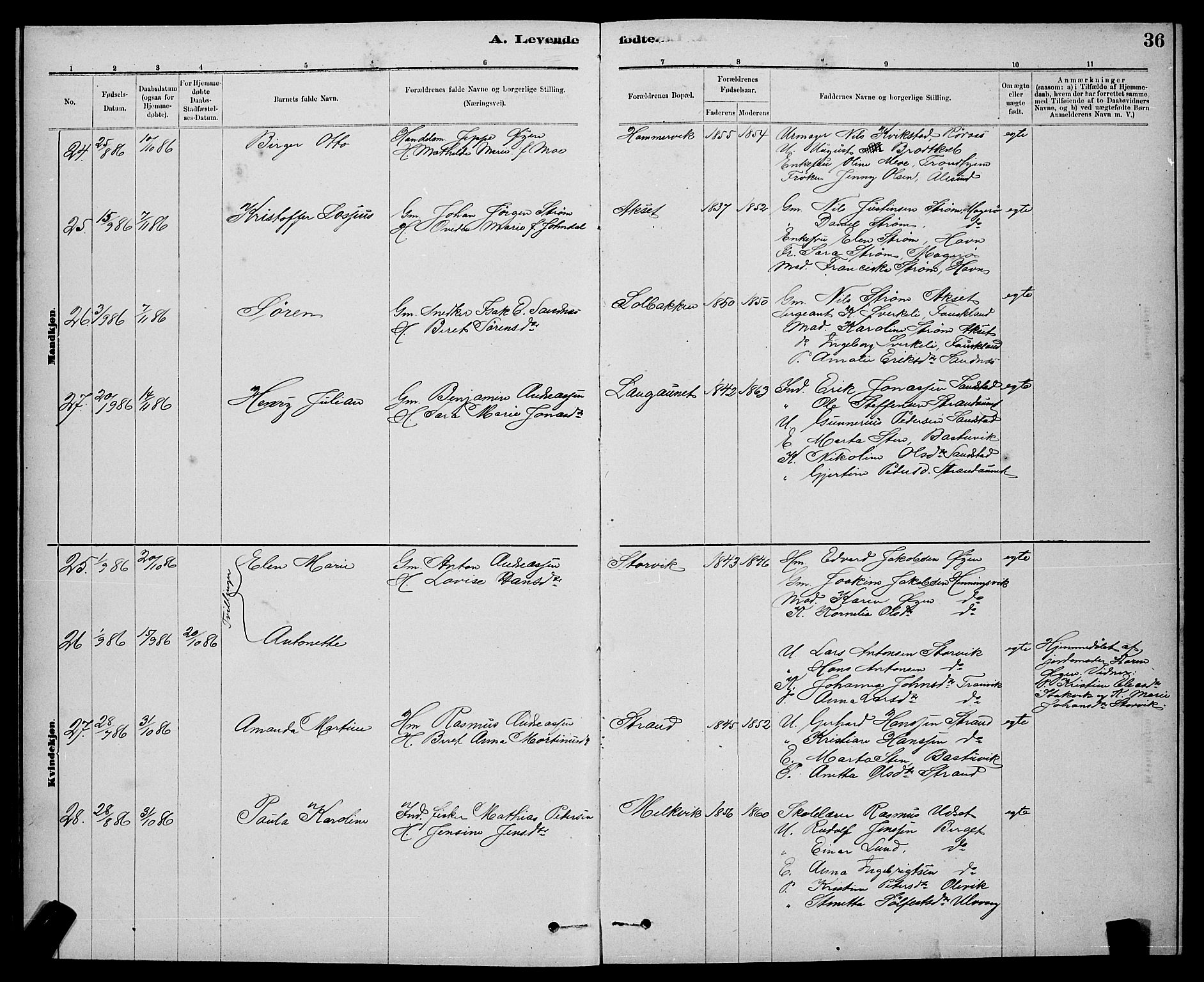 Ministerialprotokoller, klokkerbøker og fødselsregistre - Sør-Trøndelag, AV/SAT-A-1456/637/L0562: Parish register (copy) no. 637C03, 1883-1898, p. 36