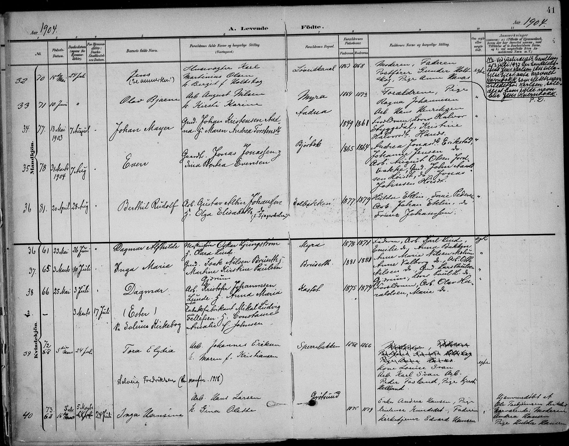 Solum kirkebøker, AV/SAKO-A-306/F/Fb/L0003: Parish register (official) no. II 3, 1901-1912, p. 41