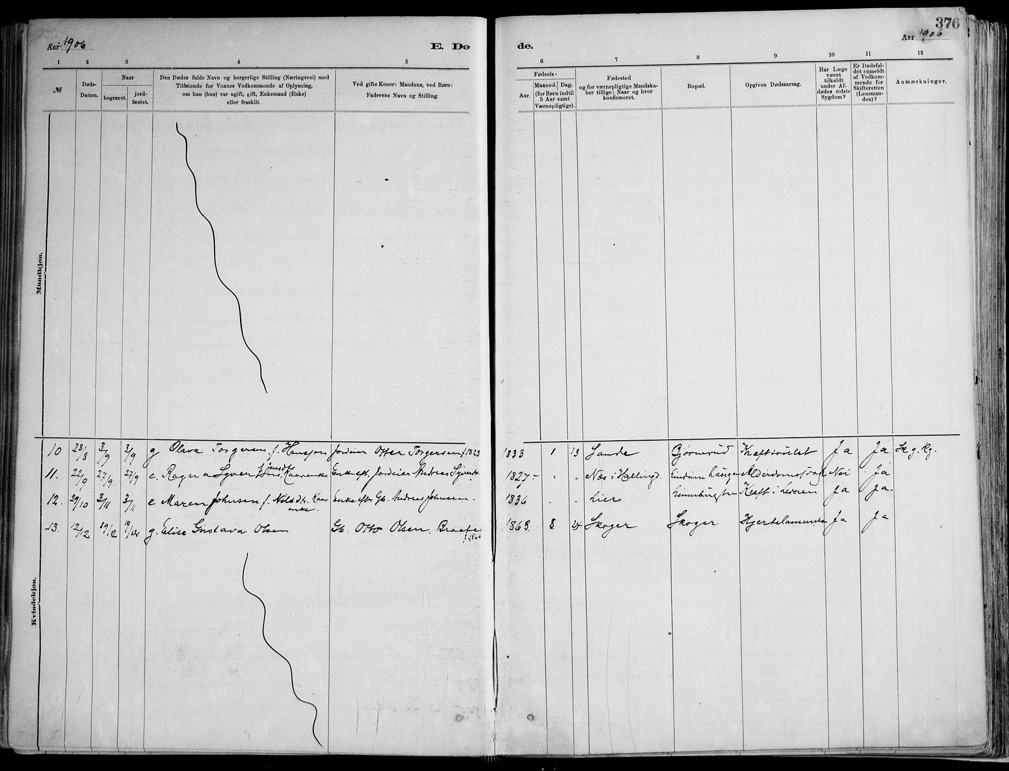 Skoger kirkebøker, AV/SAKO-A-59/F/Fa/L0006: Parish register (official) no. I 6, 1885-1910, p. 376