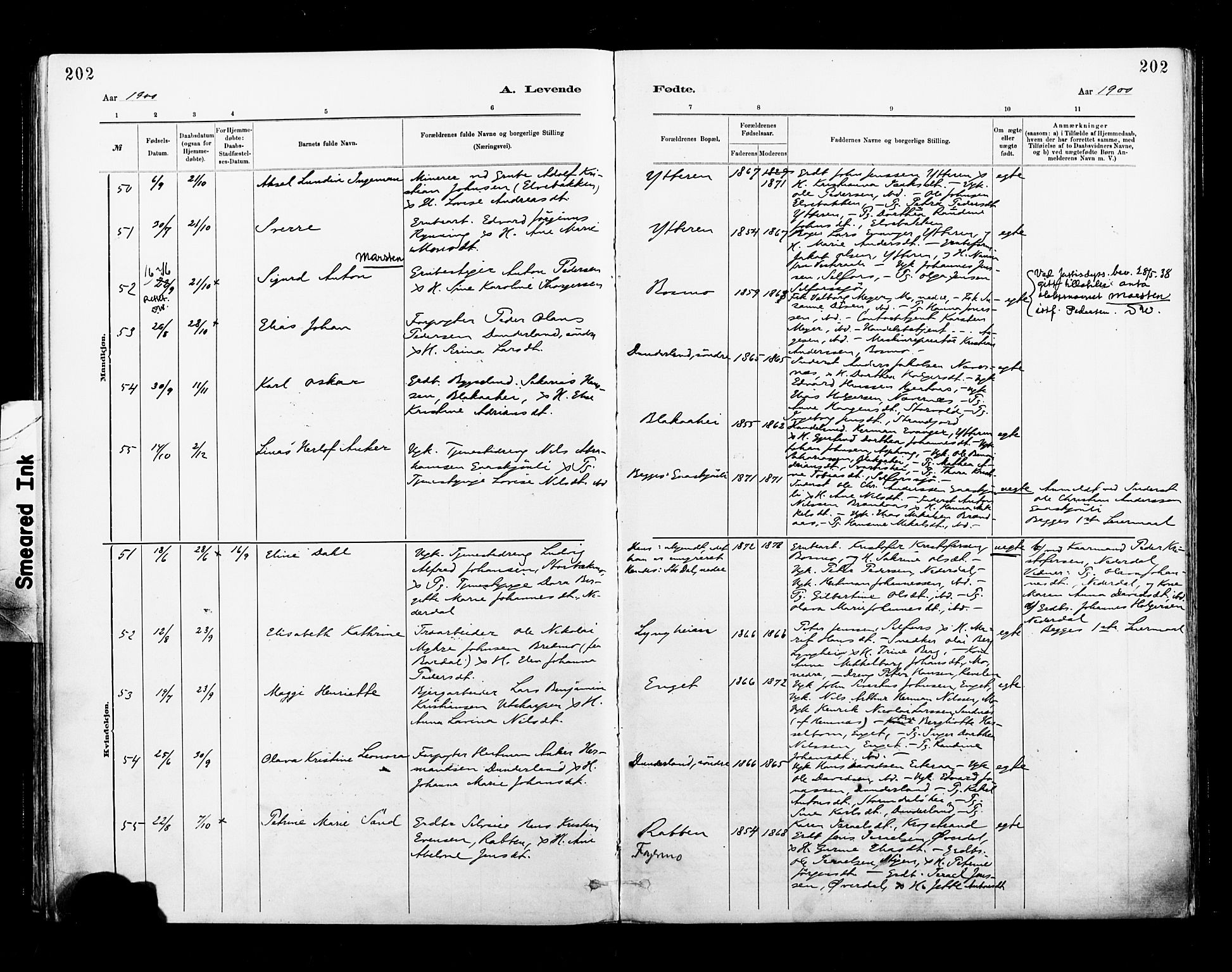 Ministerialprotokoller, klokkerbøker og fødselsregistre - Nordland, SAT/A-1459/827/L0400: Parish register (official) no. 827A12, 1883-1903, p. 202