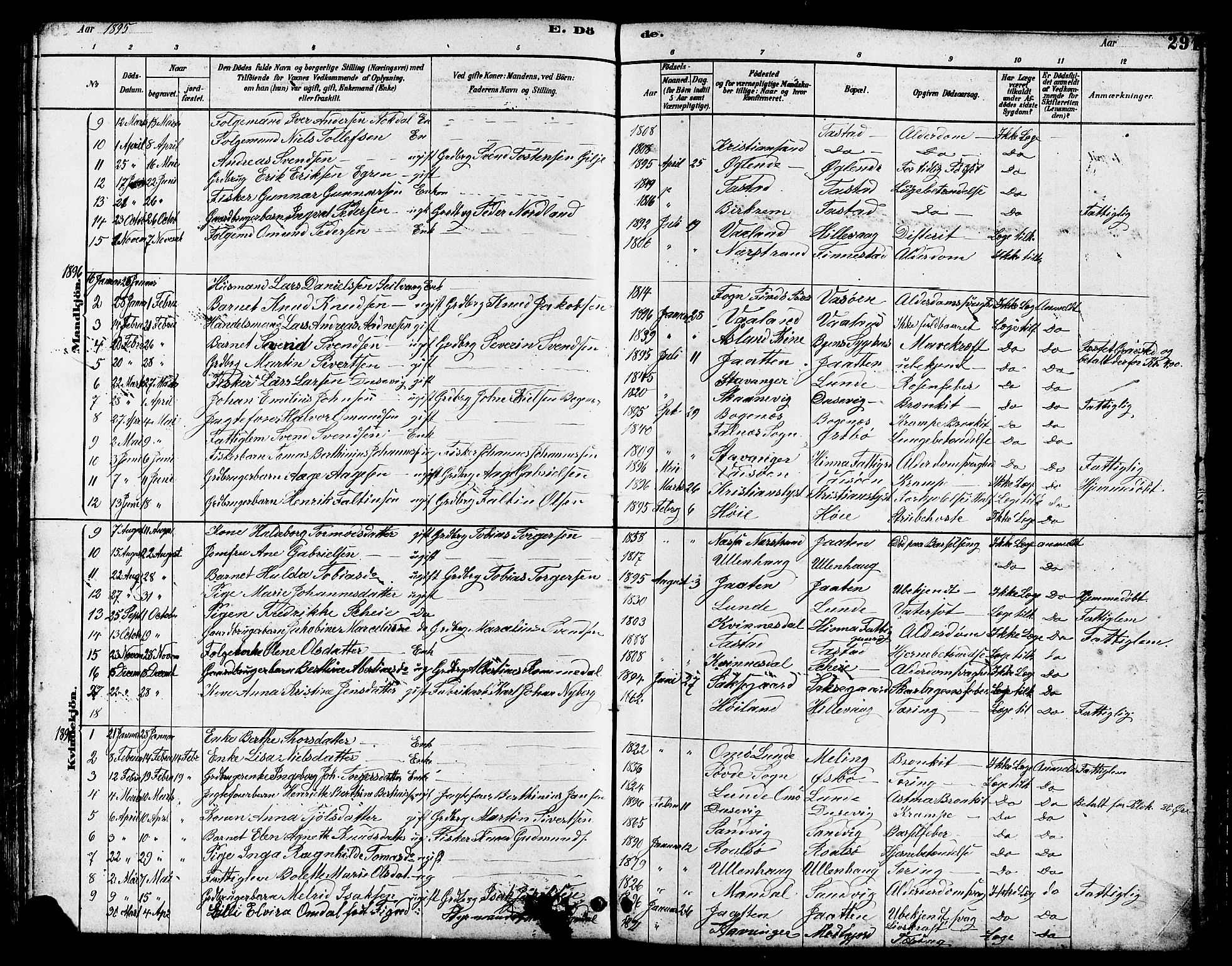 Hetland sokneprestkontor, SAST/A-101826/30/30BB/L0005: Parish register (copy) no. B 5, 1878-1910, p. 291