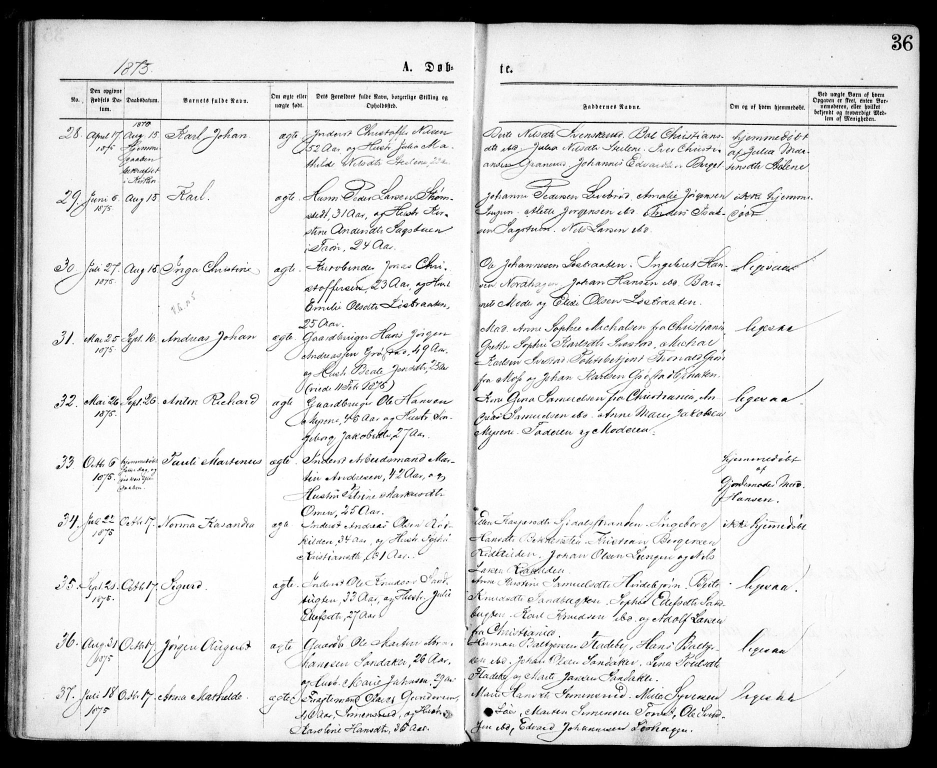 Nesodden prestekontor Kirkebøker, AV/SAO-A-10013/F/Fa/L0008: Parish register (official) no. I 8, 1869-1879, p. 36