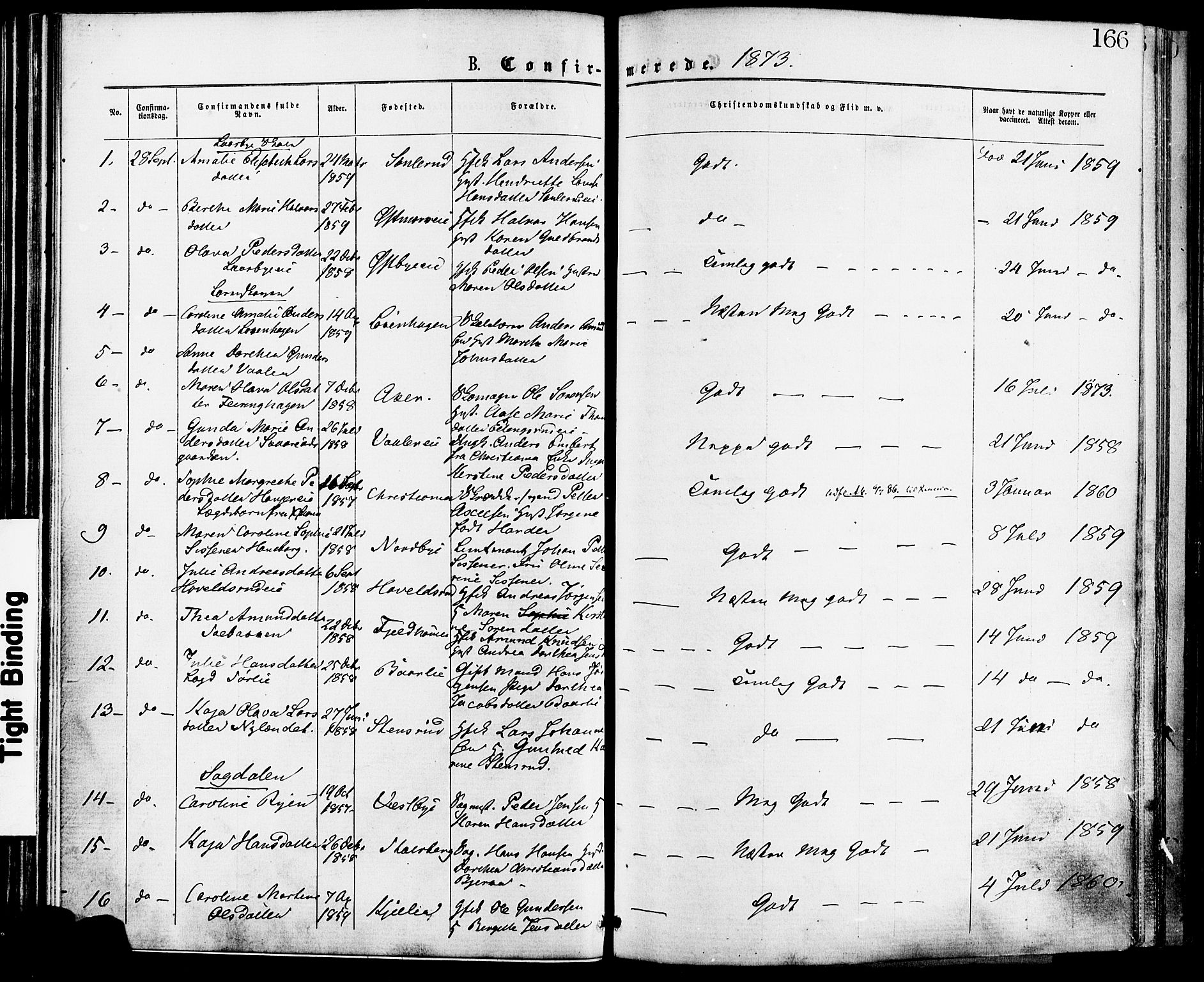 Skedsmo prestekontor Kirkebøker, SAO/A-10033a/F/Fa/L0012: Parish register (official) no. I 12, 1876-1883, p. 166