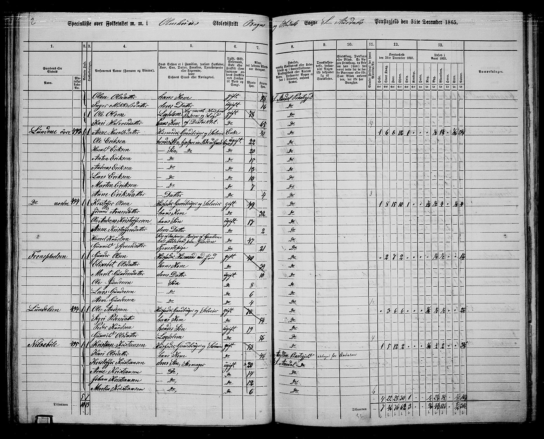 RA, 1865 census for Sør-Aurdal, 1865, p. 100