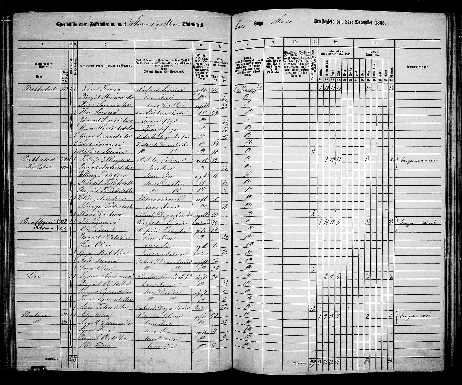 RA, 1865 census for Ål, 1865, p. 165