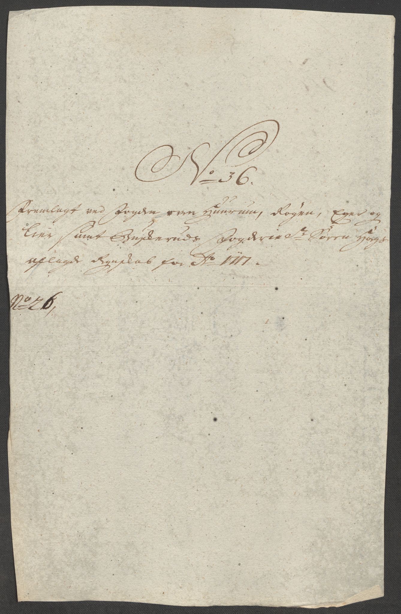 Rentekammeret inntil 1814, Reviderte regnskaper, Fogderegnskap, AV/RA-EA-4092/R31/L1711: Fogderegnskap Hurum, Røyken, Eiker, Lier og Buskerud, 1717, p. 318