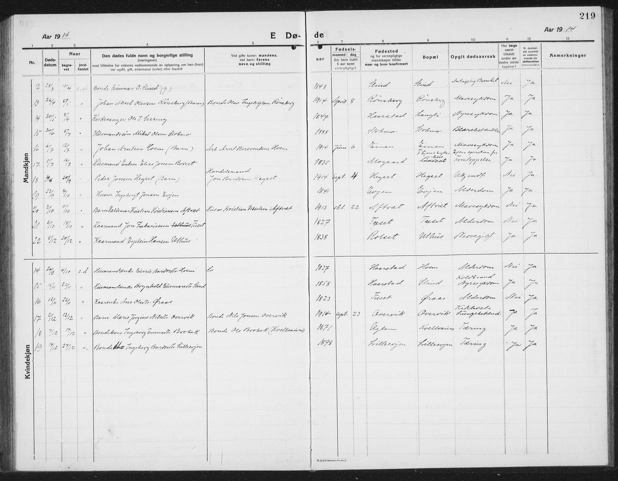 Ministerialprotokoller, klokkerbøker og fødselsregistre - Sør-Trøndelag, SAT/A-1456/695/L1158: Parish register (copy) no. 695C09, 1913-1940, p. 219