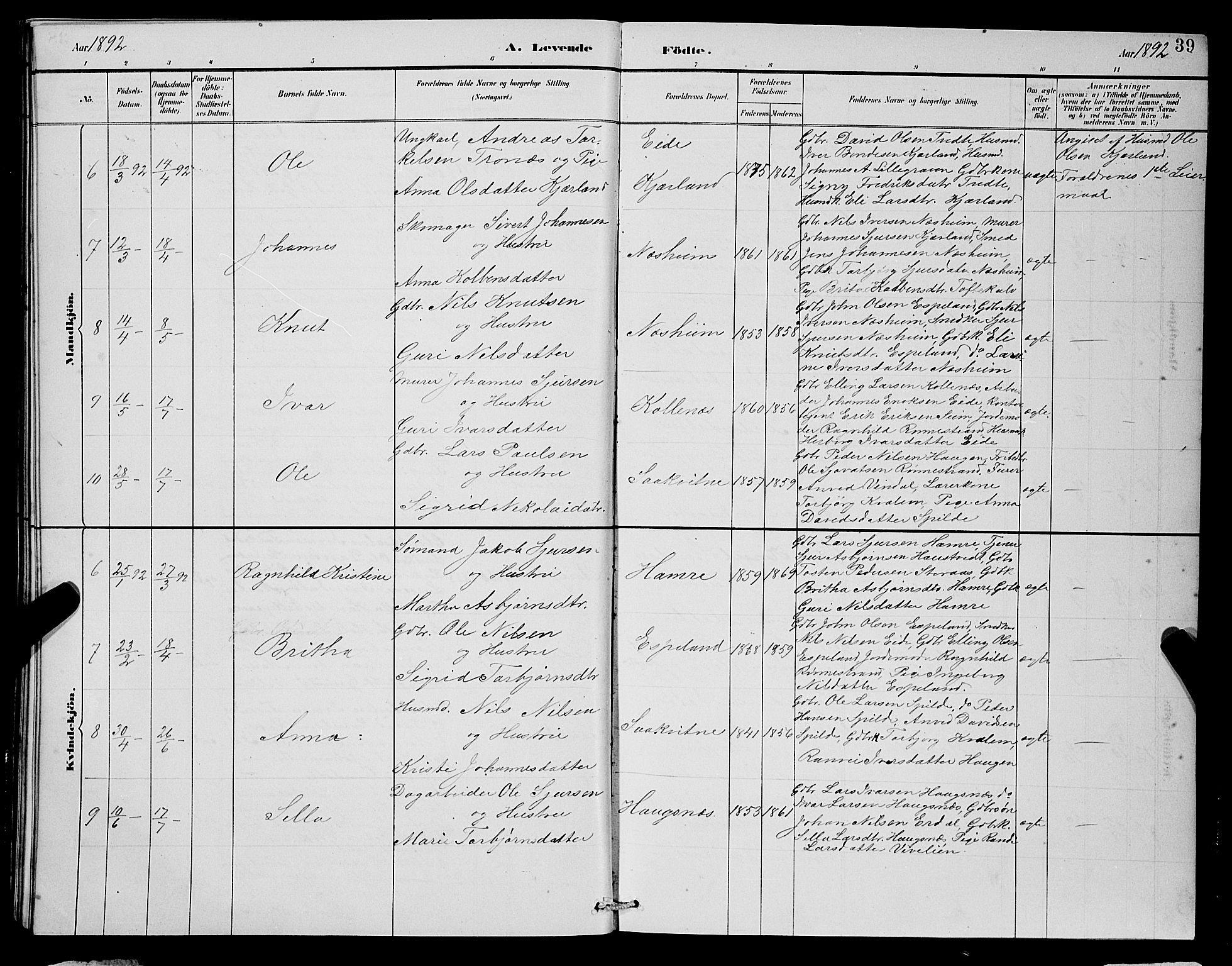 Ulvik sokneprestembete, AV/SAB-A-78801/H/Hab: Parish register (copy) no. B 3, 1884-1901, p. 39