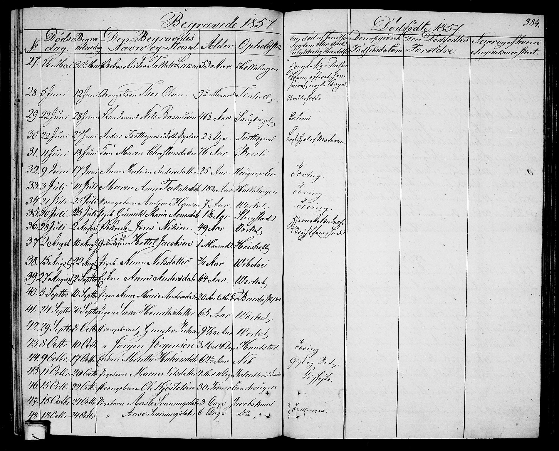 Holla kirkebøker, AV/SAKO-A-272/G/Ga/L0003: Parish register (copy) no. I 3, 1849-1866, p. 384