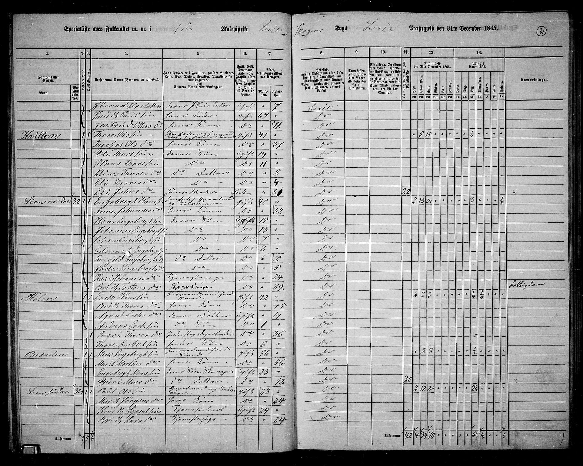 RA, 1865 census for Lesja, 1865, p. 32