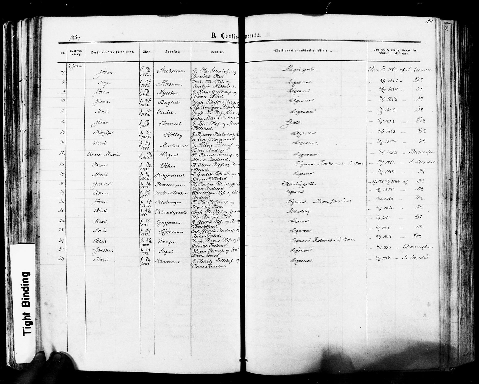 Flesberg kirkebøker, SAKO/A-18/F/Fa/L0007: Parish register (official) no. I 7, 1861-1878, p. 184