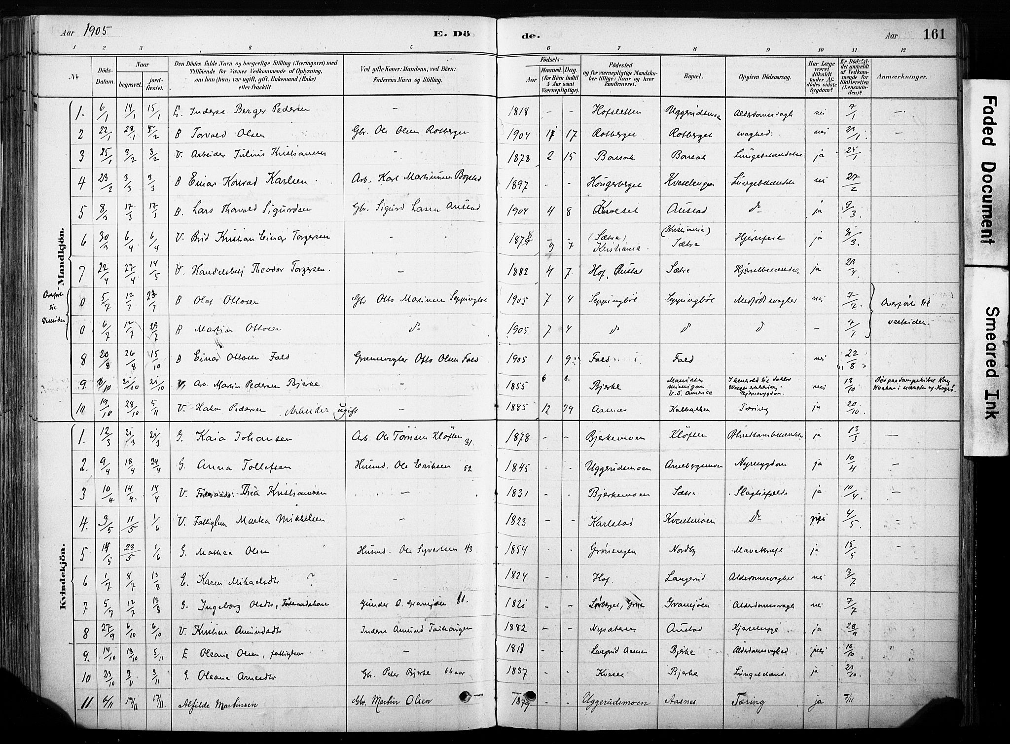 Hof prestekontor, AV/SAH-PREST-038/H/Ha/Haa/L0011: Parish register (official) no. 11, 1879-1911, p. 161