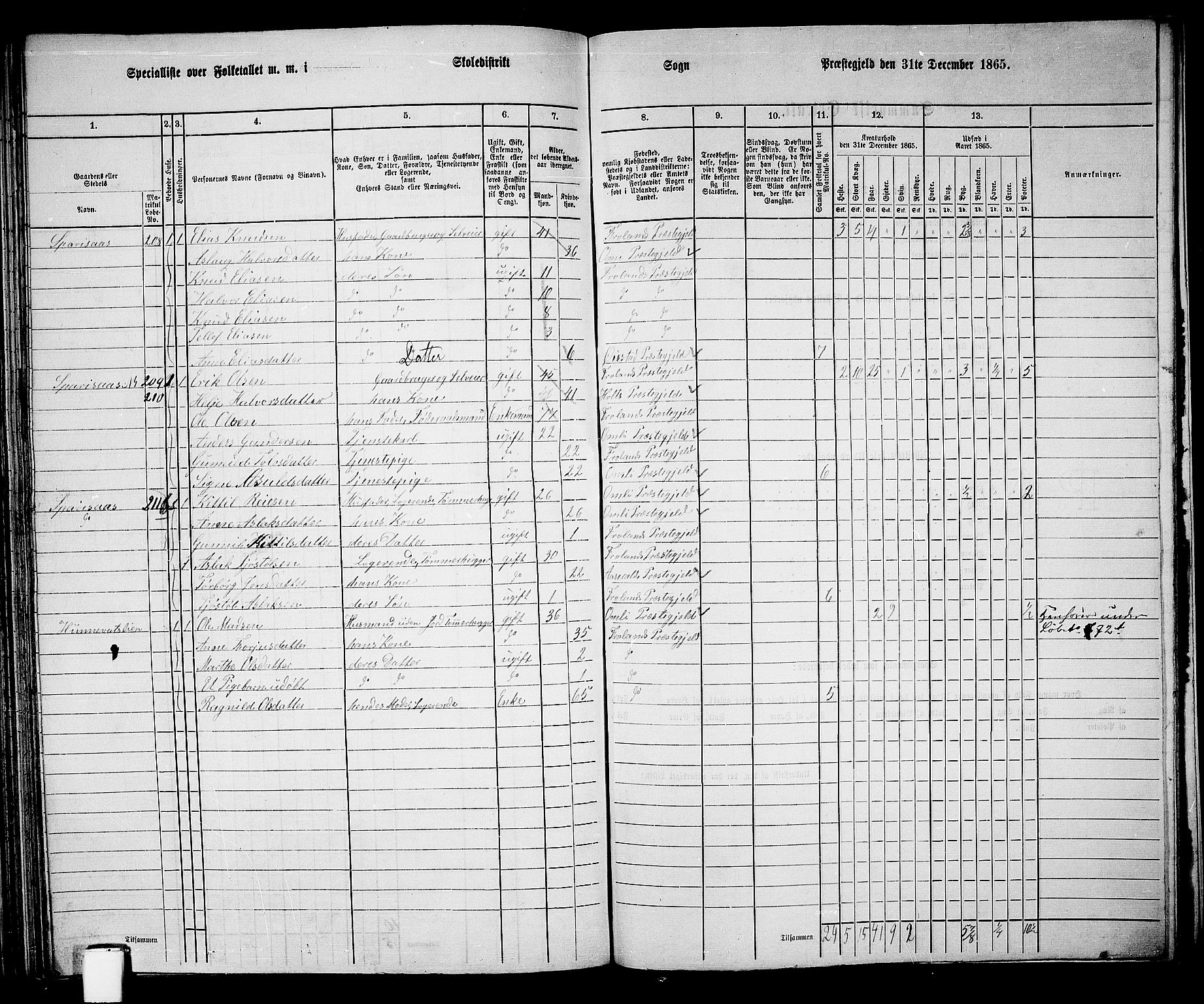 RA, 1865 census for Froland, 1865, p. 79