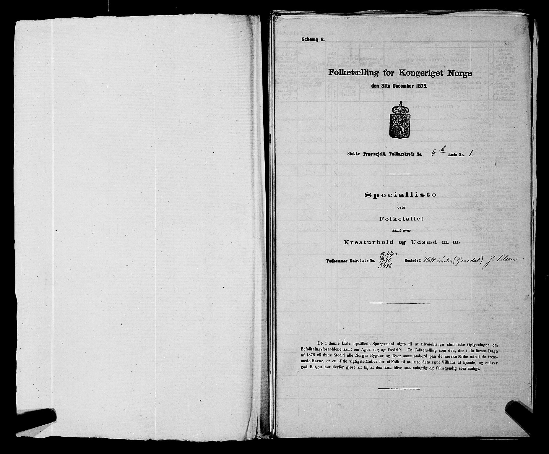 SAKO, 1875 census for 0720P Stokke, 1875, p. 1395