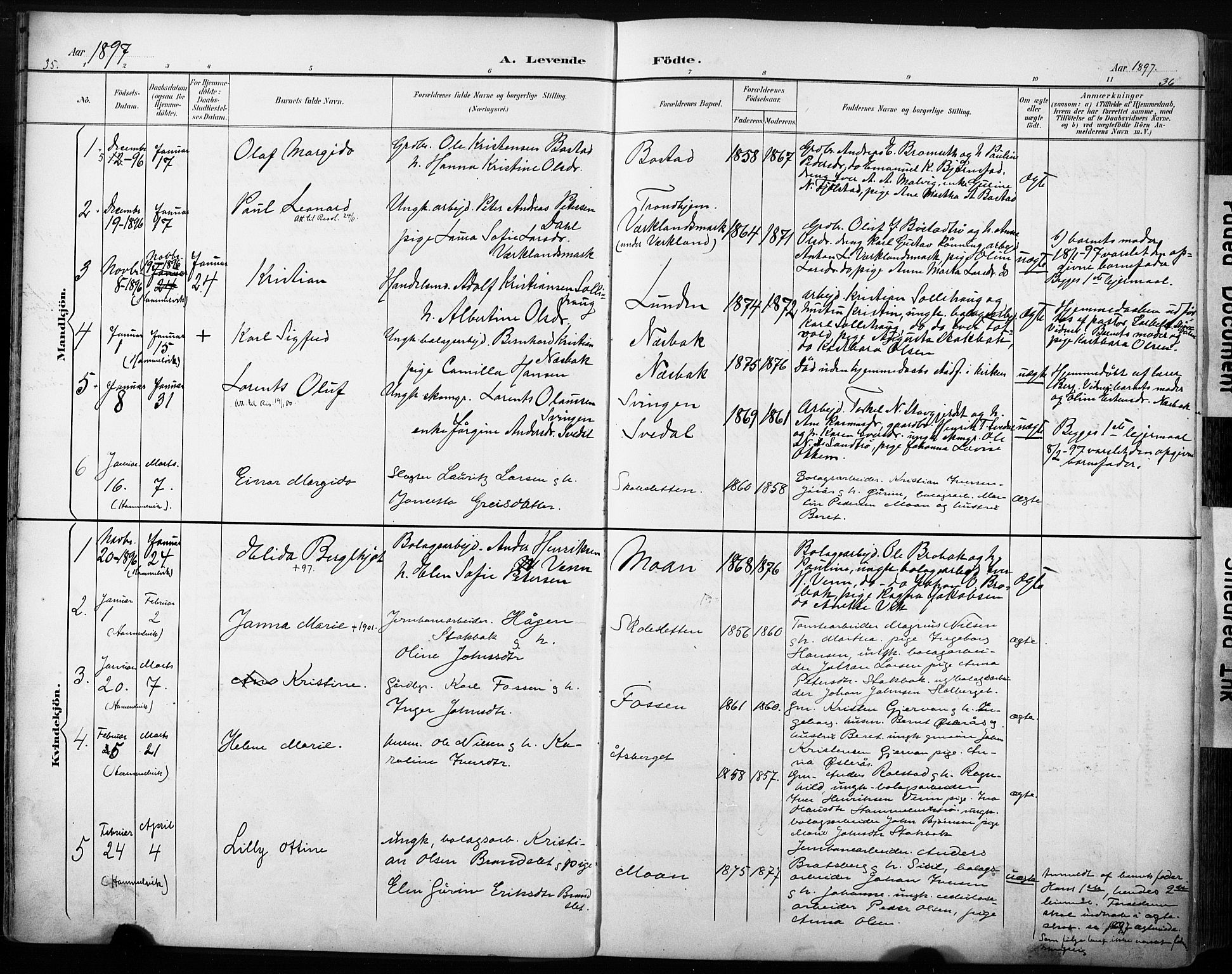 Ministerialprotokoller, klokkerbøker og fødselsregistre - Sør-Trøndelag, AV/SAT-A-1456/616/L0411: Parish register (official) no. 616A08, 1894-1906, p. 35-36