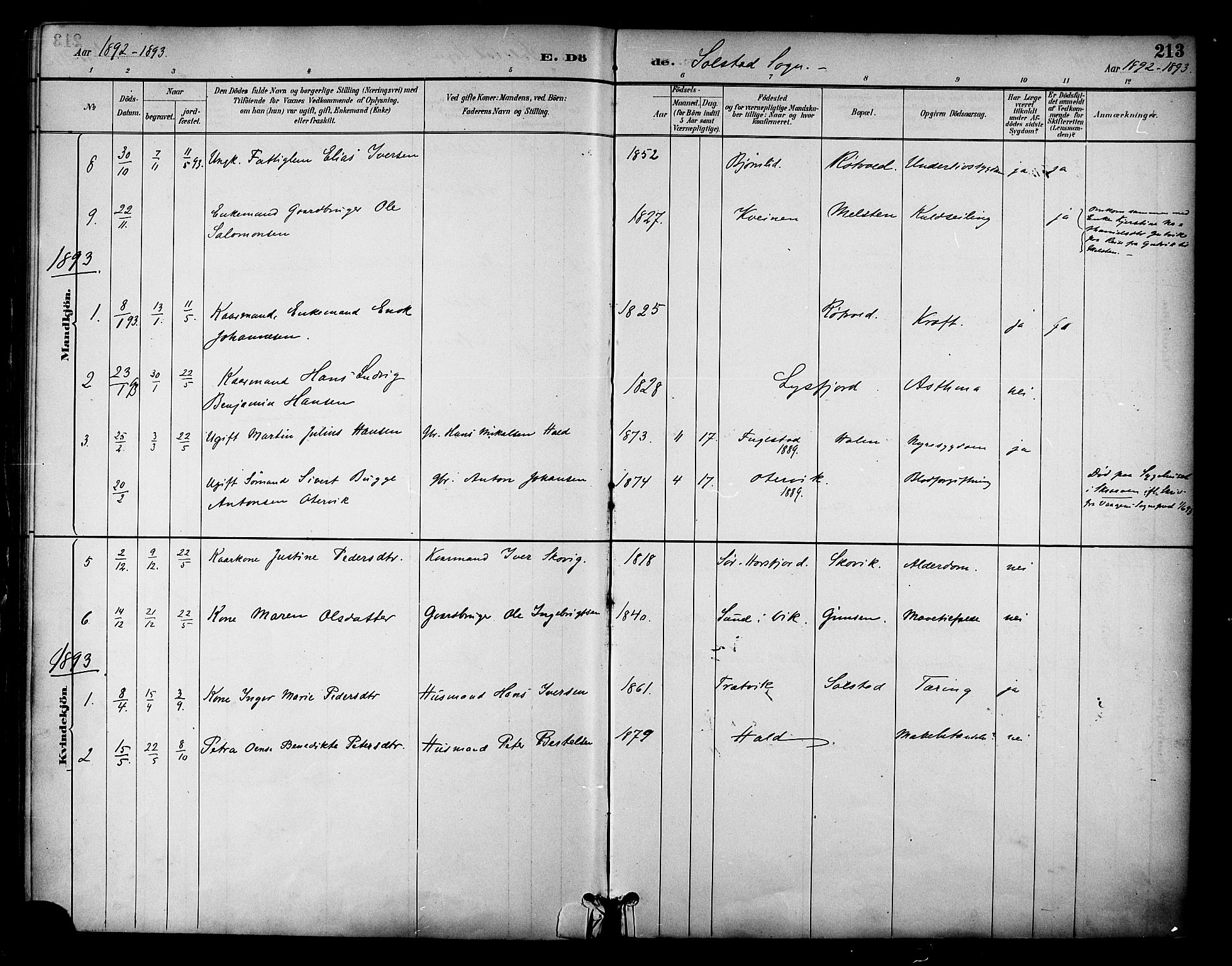 Ministerialprotokoller, klokkerbøker og fødselsregistre - Nordland, AV/SAT-A-1459/810/L0151: Parish register (official) no. 810A10 /2, 1885-1895, p. 213