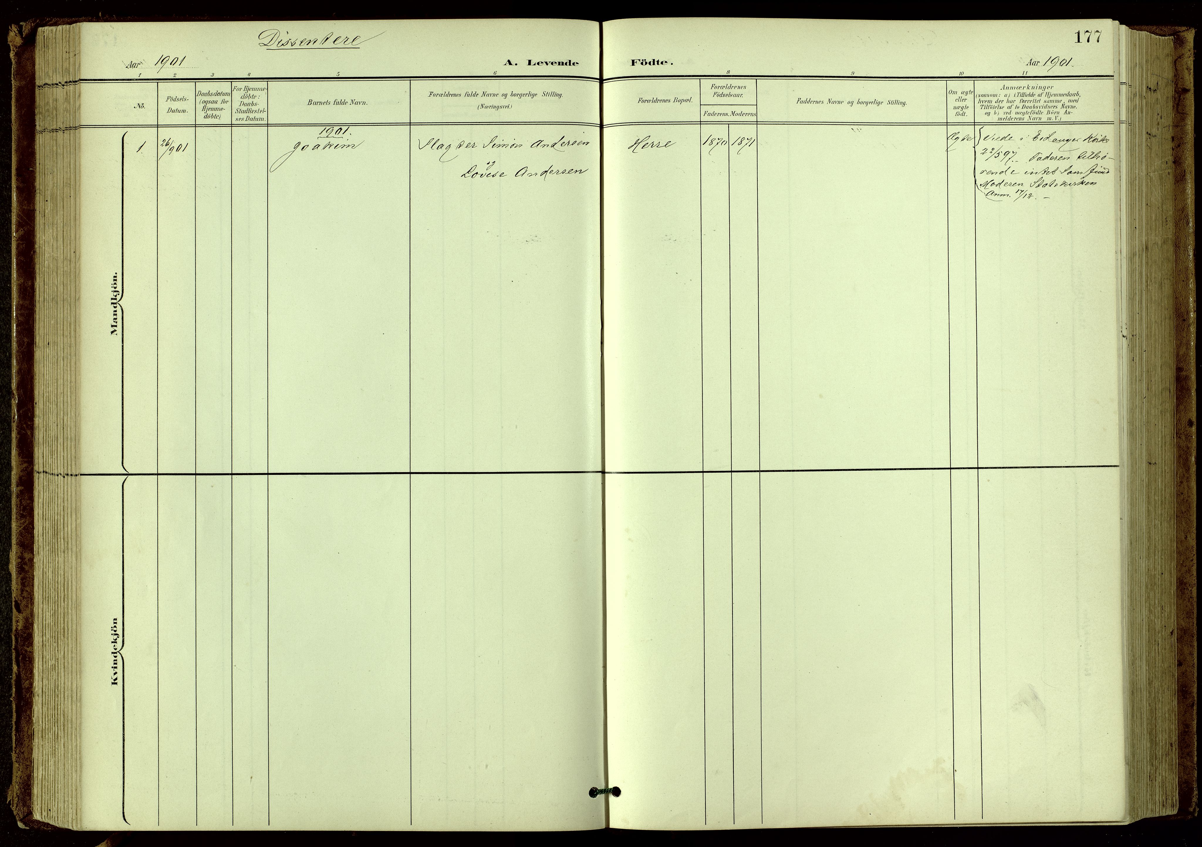 Bamble kirkebøker, SAKO/A-253/G/Ga/L0010: Parish register (copy) no. I 10, 1901-1919, p. 177