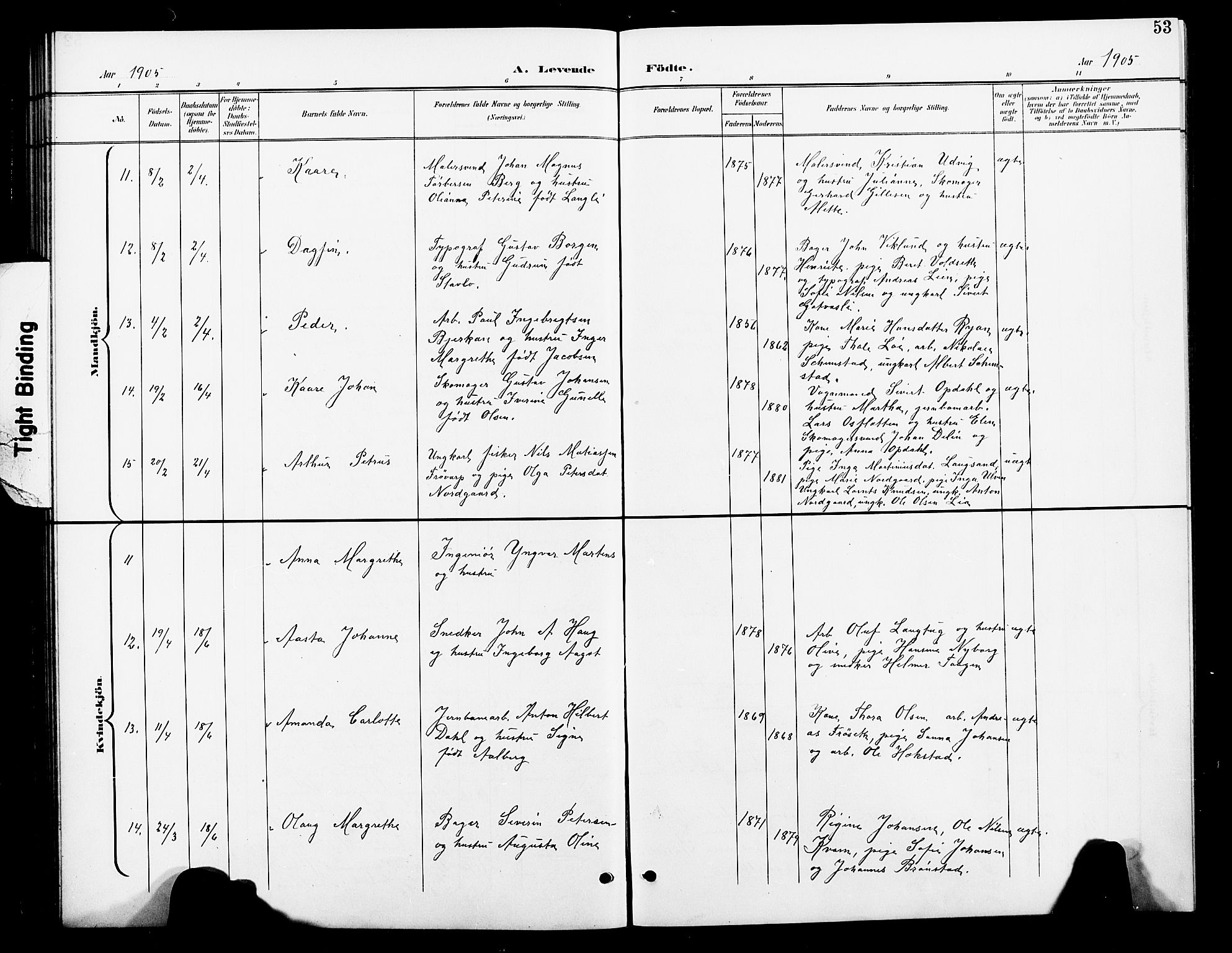 Ministerialprotokoller, klokkerbøker og fødselsregistre - Nord-Trøndelag, AV/SAT-A-1458/739/L0375: Parish register (copy) no. 739C03, 1898-1908, p. 53