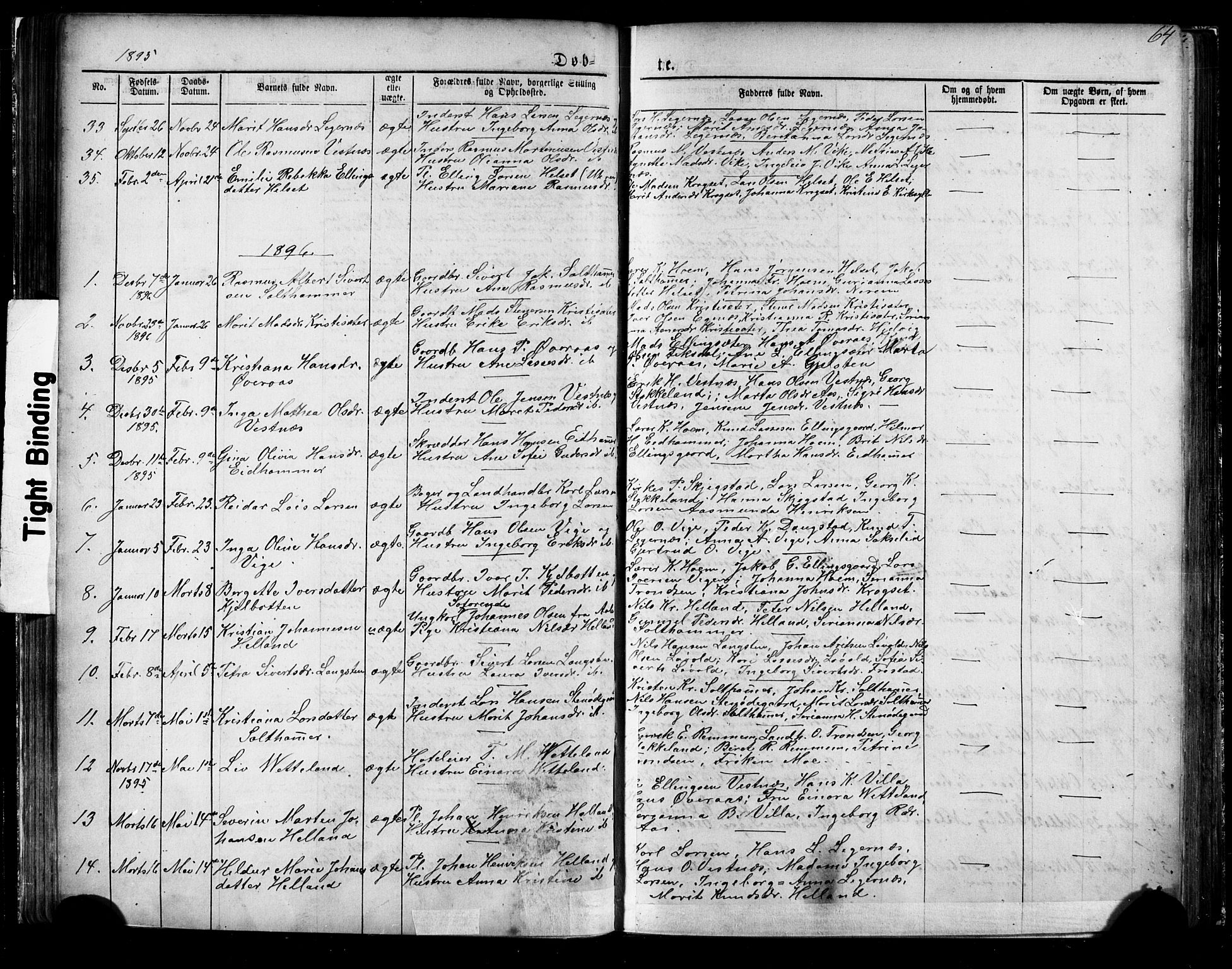 Ministerialprotokoller, klokkerbøker og fødselsregistre - Møre og Romsdal, AV/SAT-A-1454/539/L0536: Parish register (copy) no. 539C02, 1867-1913, p. 64