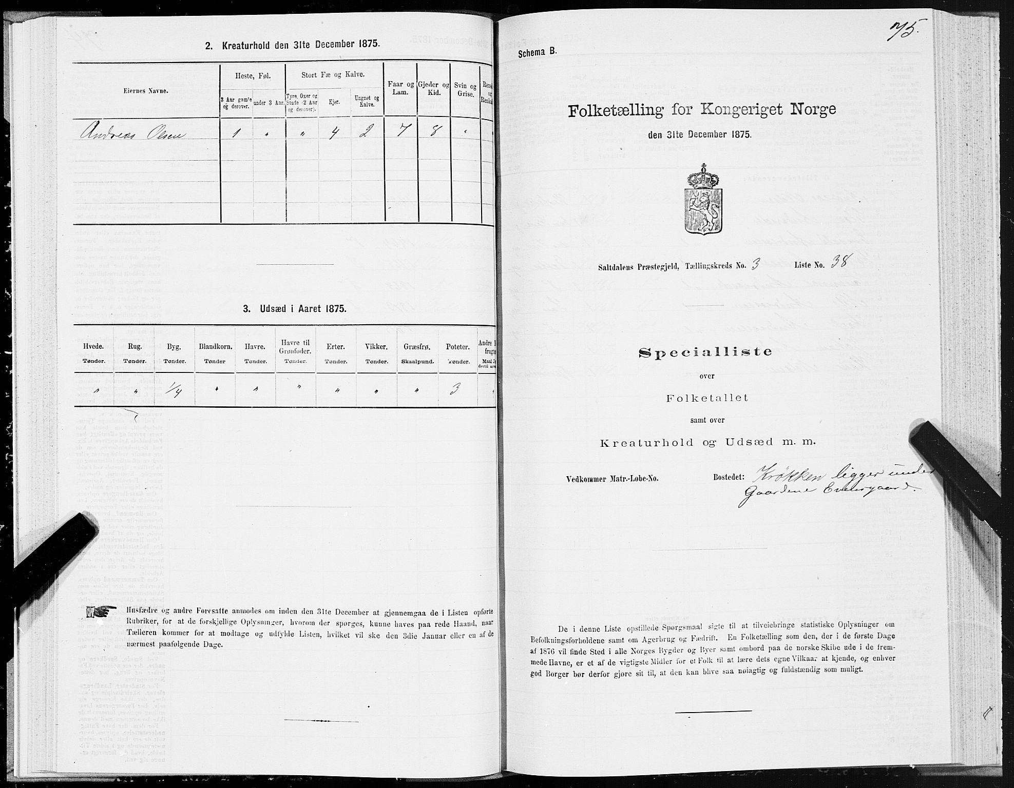 SAT, 1875 census for 1840P Saltdal, 1875, p. 2075