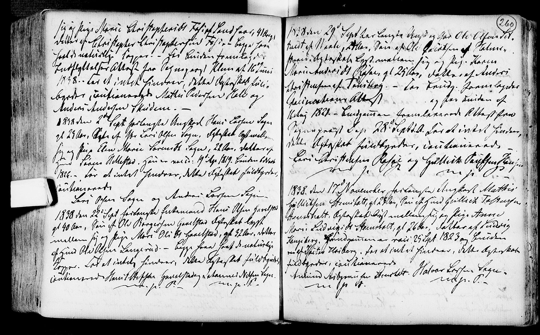 Lardal kirkebøker, AV/SAKO-A-350/F/Fa/L0004: Parish register (official) no. i 4, 1733-1815, p. 260