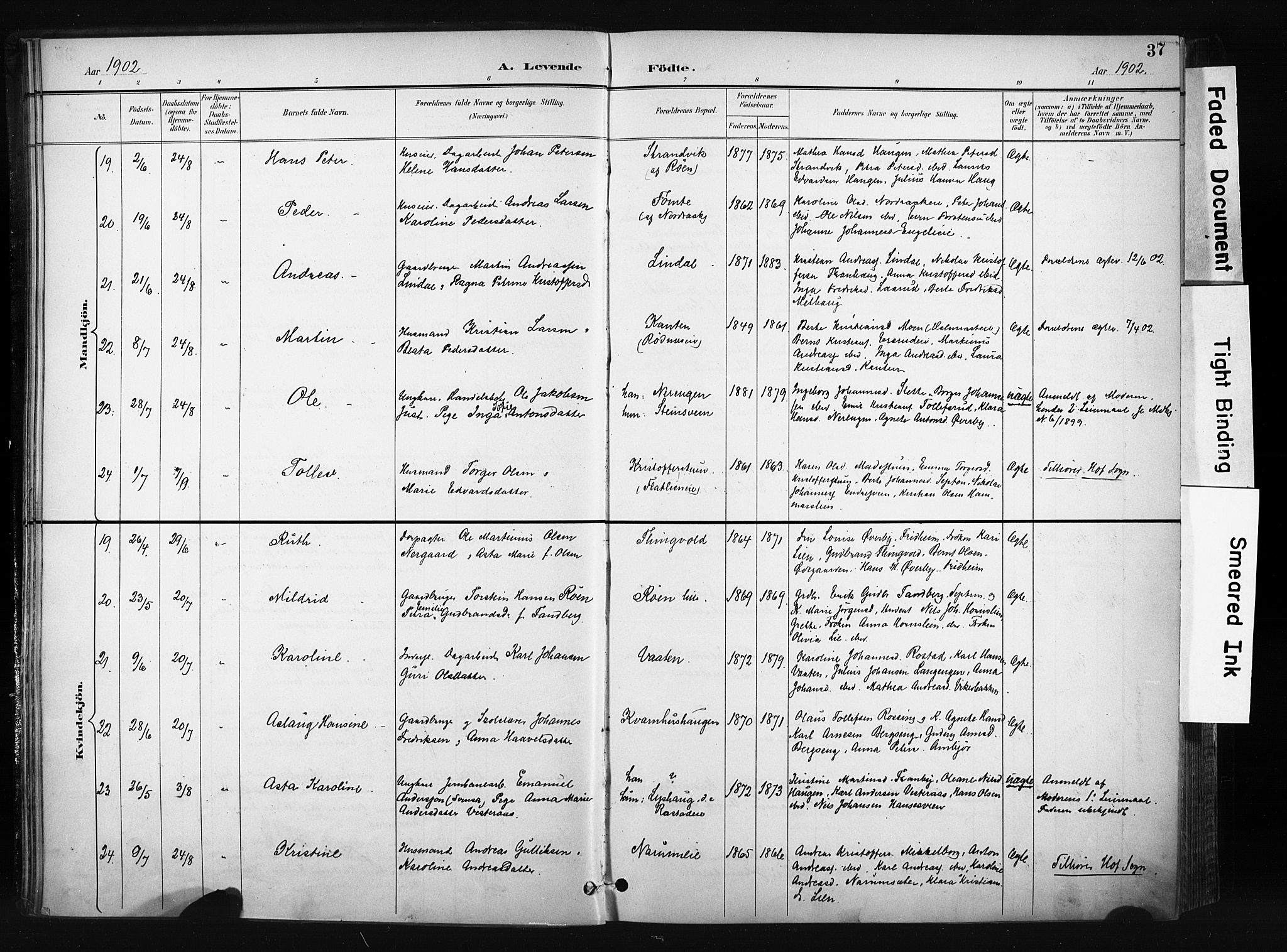 Søndre Land prestekontor, AV/SAH-PREST-122/K/L0004: Parish register (official) no. 4, 1895-1904, p. 37