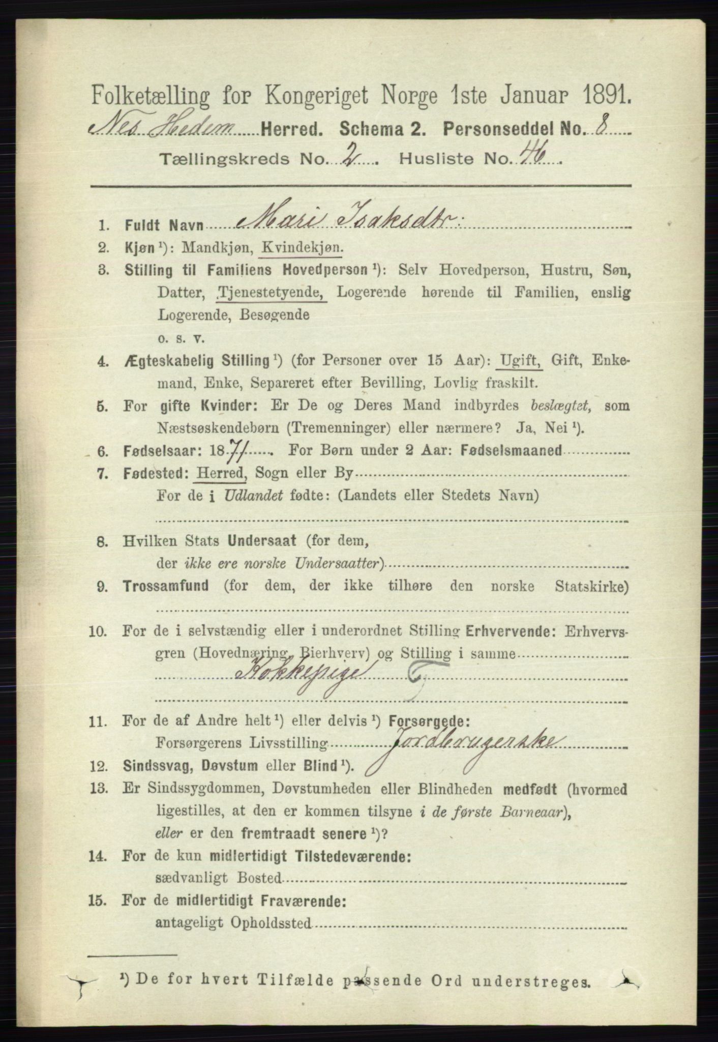 RA, 1891 census for 0411 Nes, 1891, p. 1408