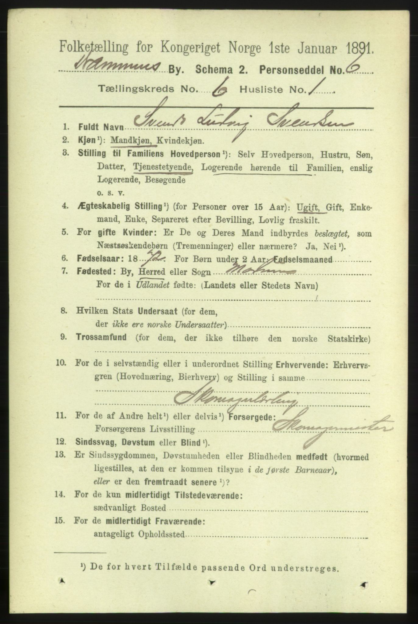 RA, 1891 census for 0602 Drammen, 1891, p. 6097