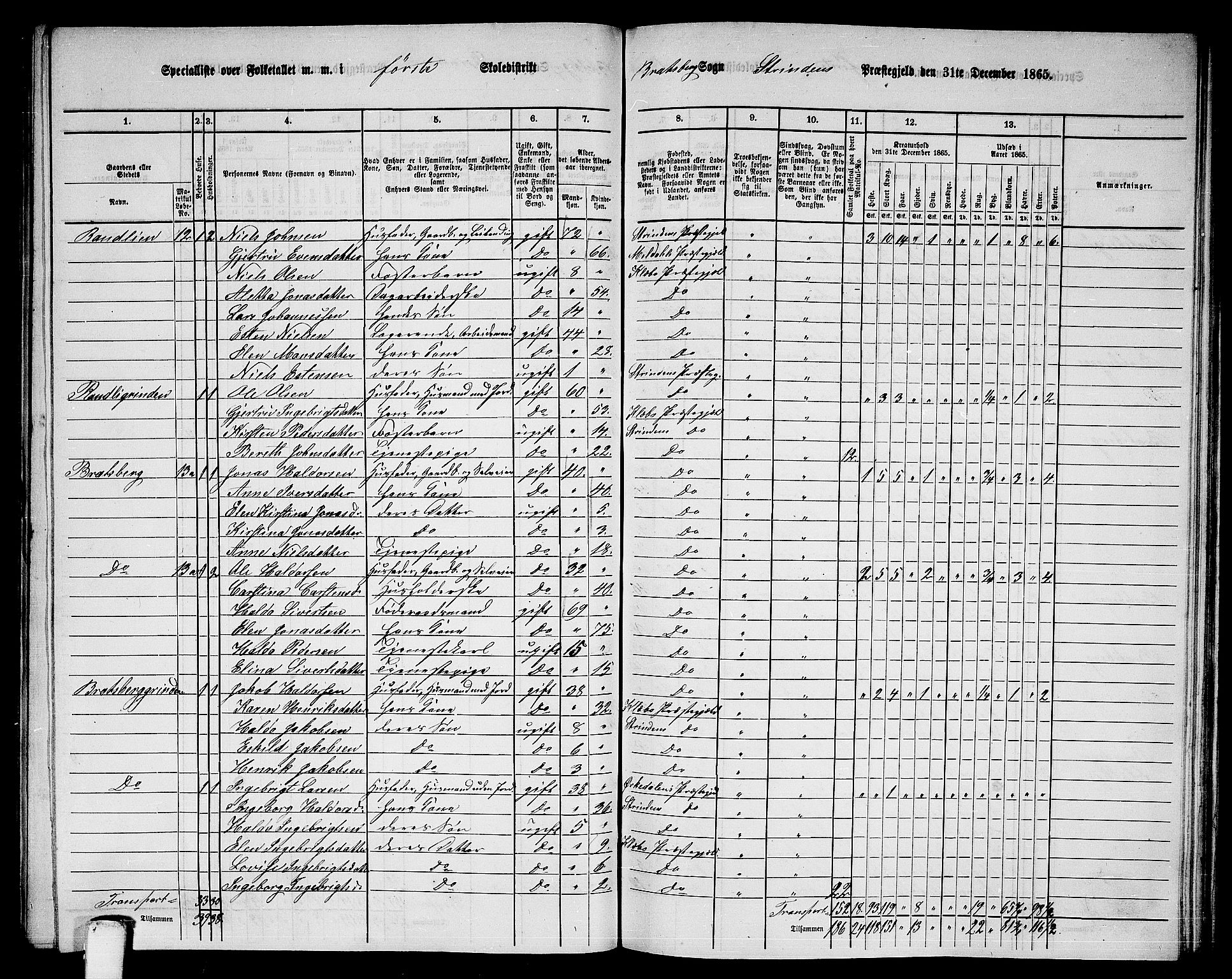 RA, 1865 census for Strinda, 1865, p. 166