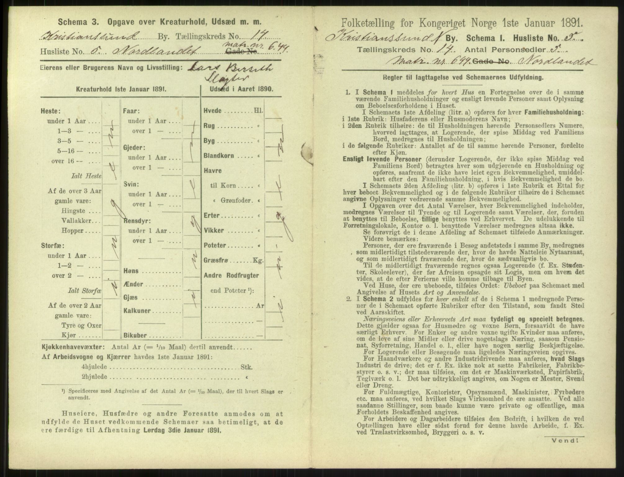 RA, 1891 census for 1503 Kristiansund, 1891, p. 1504