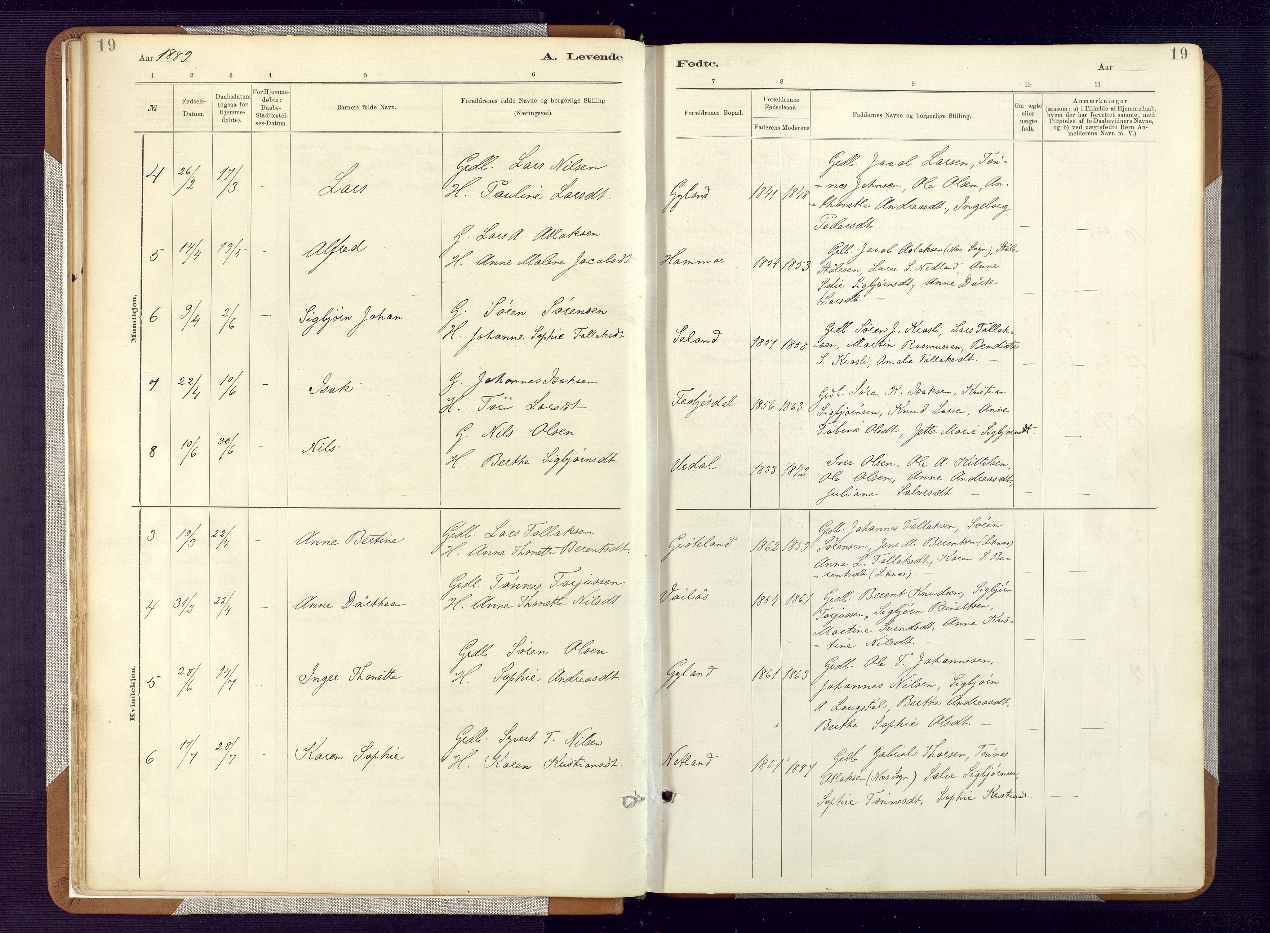 Bakke sokneprestkontor, AV/SAK-1111-0002/F/Fa/Fab/L0003: Parish register (official) no. A 3, 1884-1921, p. 19