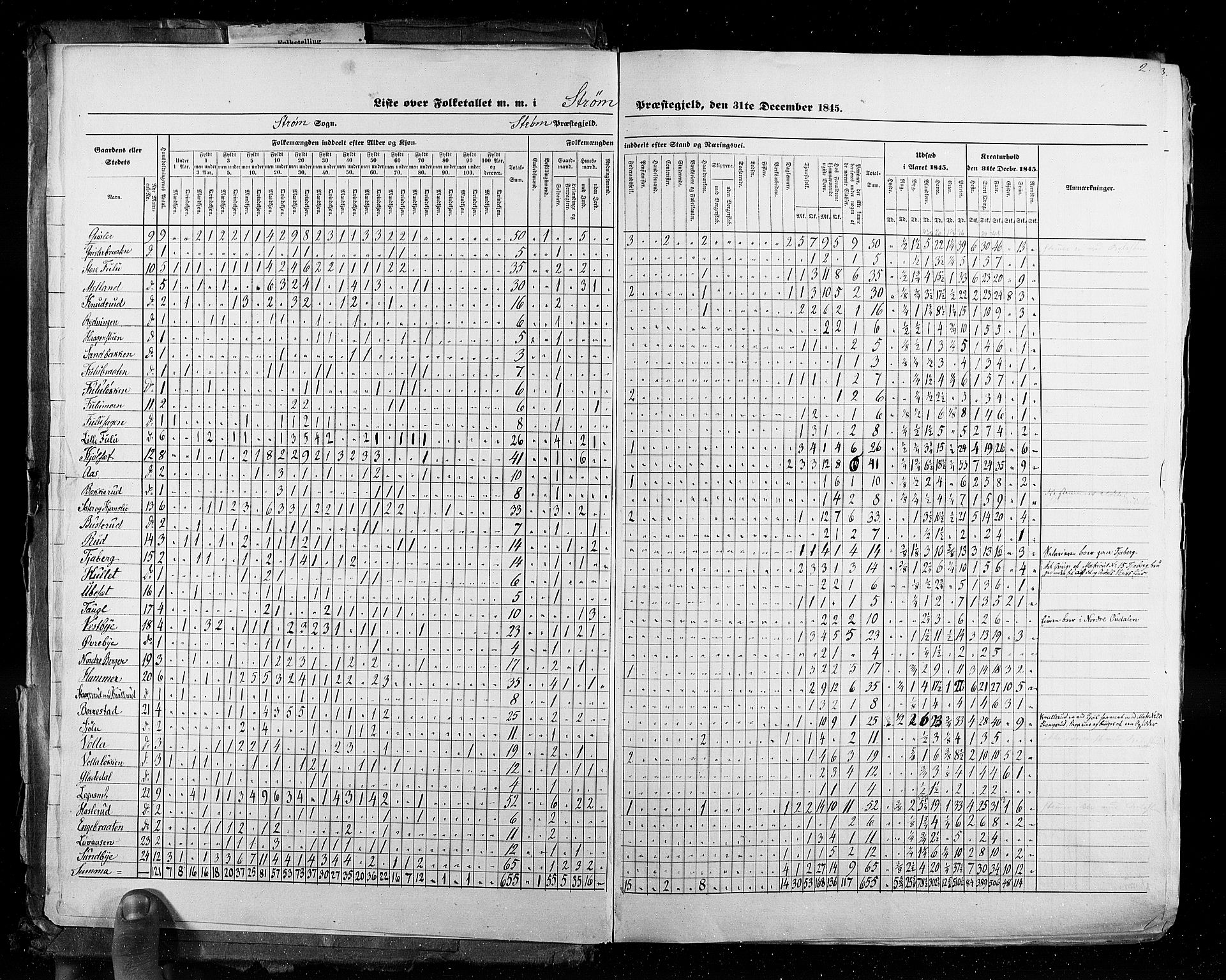 RA, Census 1845, vol. 3: Hedemarken amt og Kristians amt, 1845, p. 2