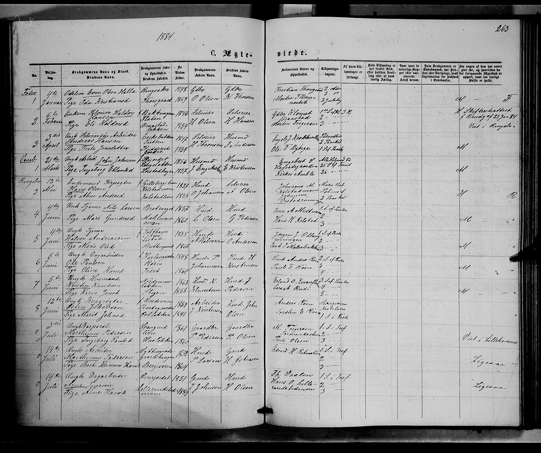 Ringebu prestekontor, AV/SAH-PREST-082/H/Ha/Hab/L0006: Parish register (copy) no. 6, 1880-1898, p. 263