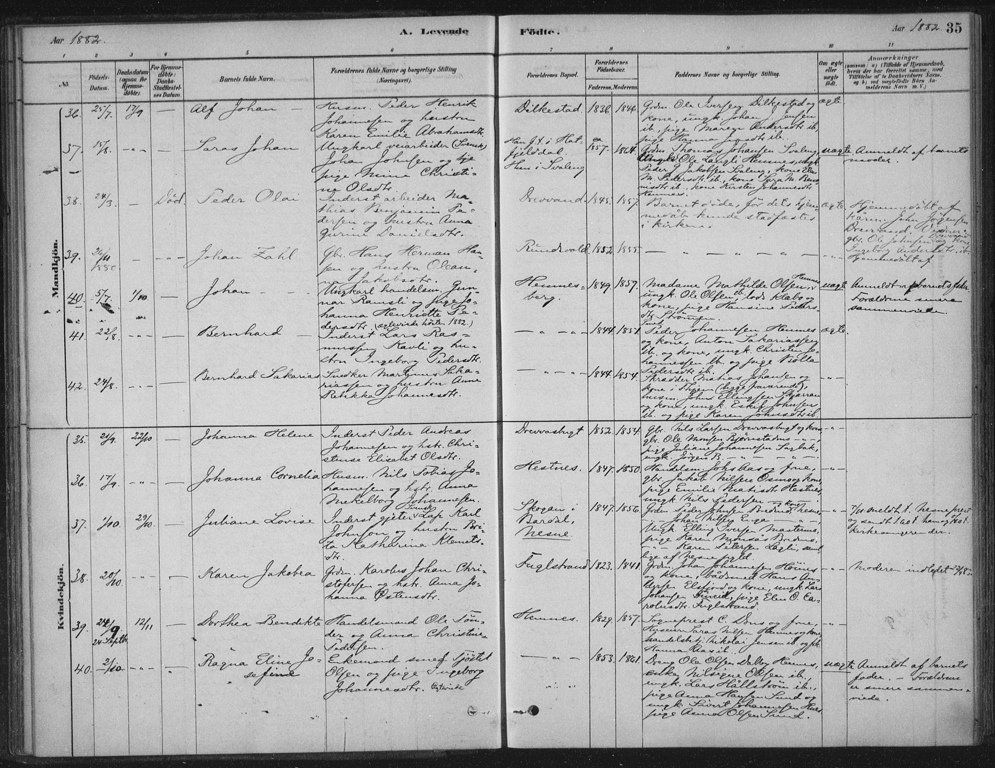 Ministerialprotokoller, klokkerbøker og fødselsregistre - Nordland, AV/SAT-A-1459/825/L0361: Parish register (official) no. 825A15, 1878-1893, p. 35