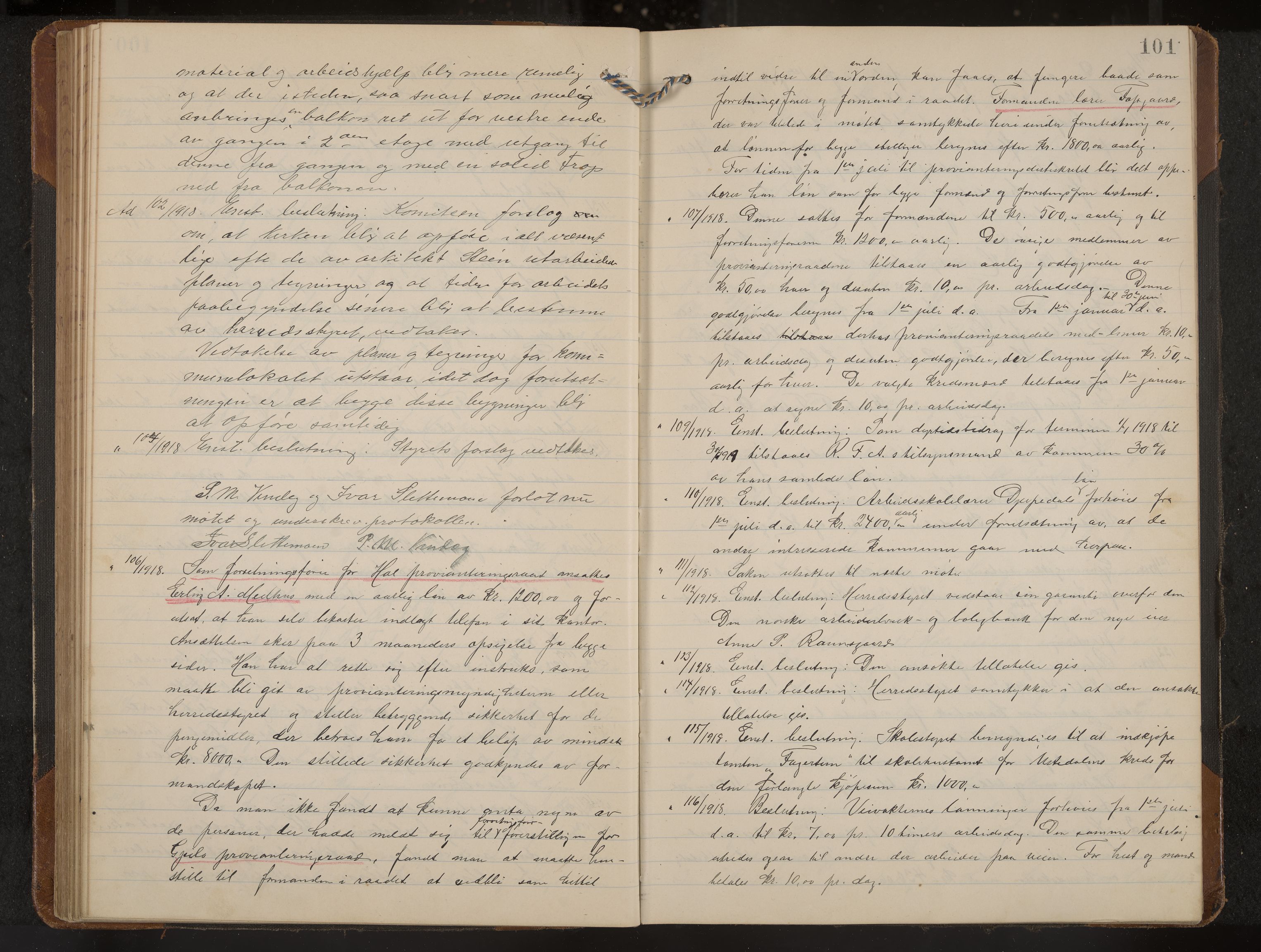 Hol formannskap og sentraladministrasjon, IKAK/0620021-1/A/L0006: Møtebok, 1916-1922, p. 101