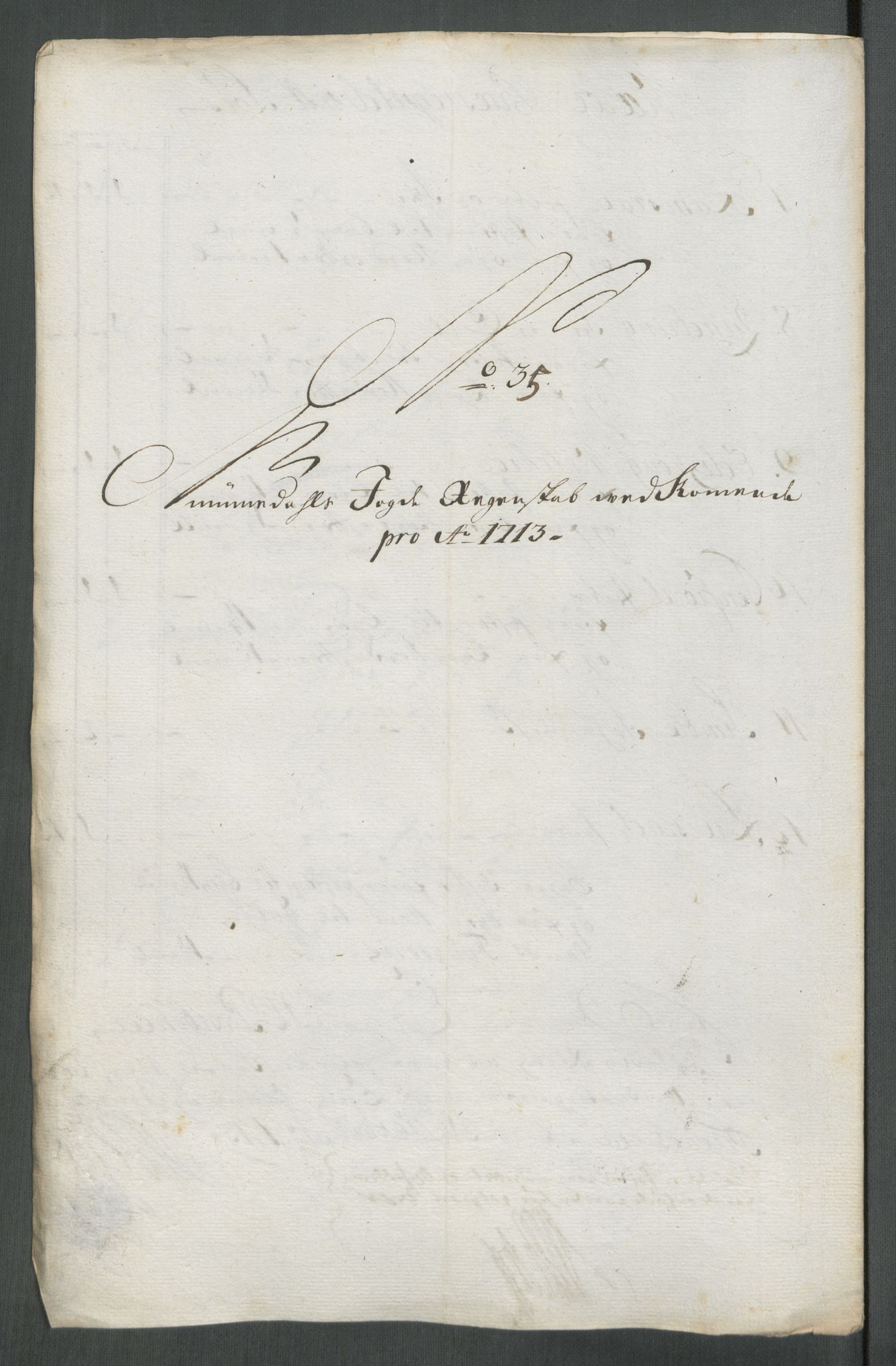 Rentekammeret inntil 1814, Reviderte regnskaper, Fogderegnskap, RA/EA-4092/R64/L4434: Fogderegnskap Namdal, 1713, p. 224