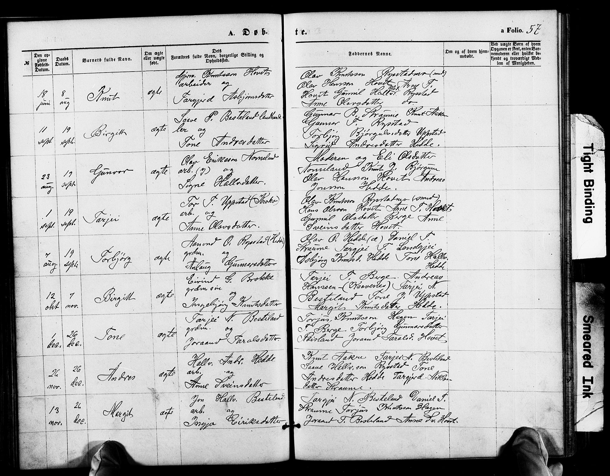 Valle sokneprestkontor, SAK/1111-0044/F/Fb/Fbb/L0002: Parish register (copy) no. B 2, 1875-1921, p. 57