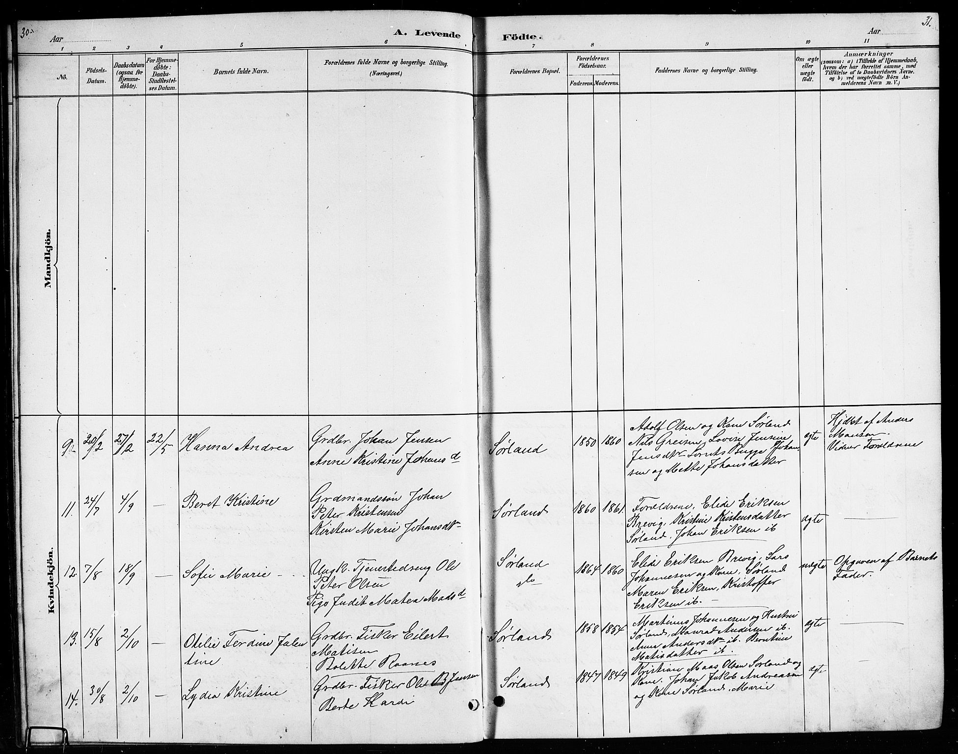 Ministerialprotokoller, klokkerbøker og fødselsregistre - Nordland, SAT/A-1459/807/L0123: Parish register (copy) no. 807C01, 1884-1910, p. 30-31