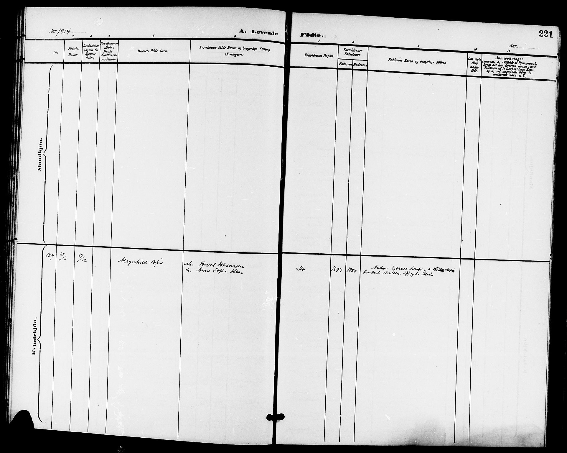 Sandar kirkebøker, AV/SAKO-A-243/G/Ga/L0002: Parish register (copy) no. 2, 1900-1915, p. 221