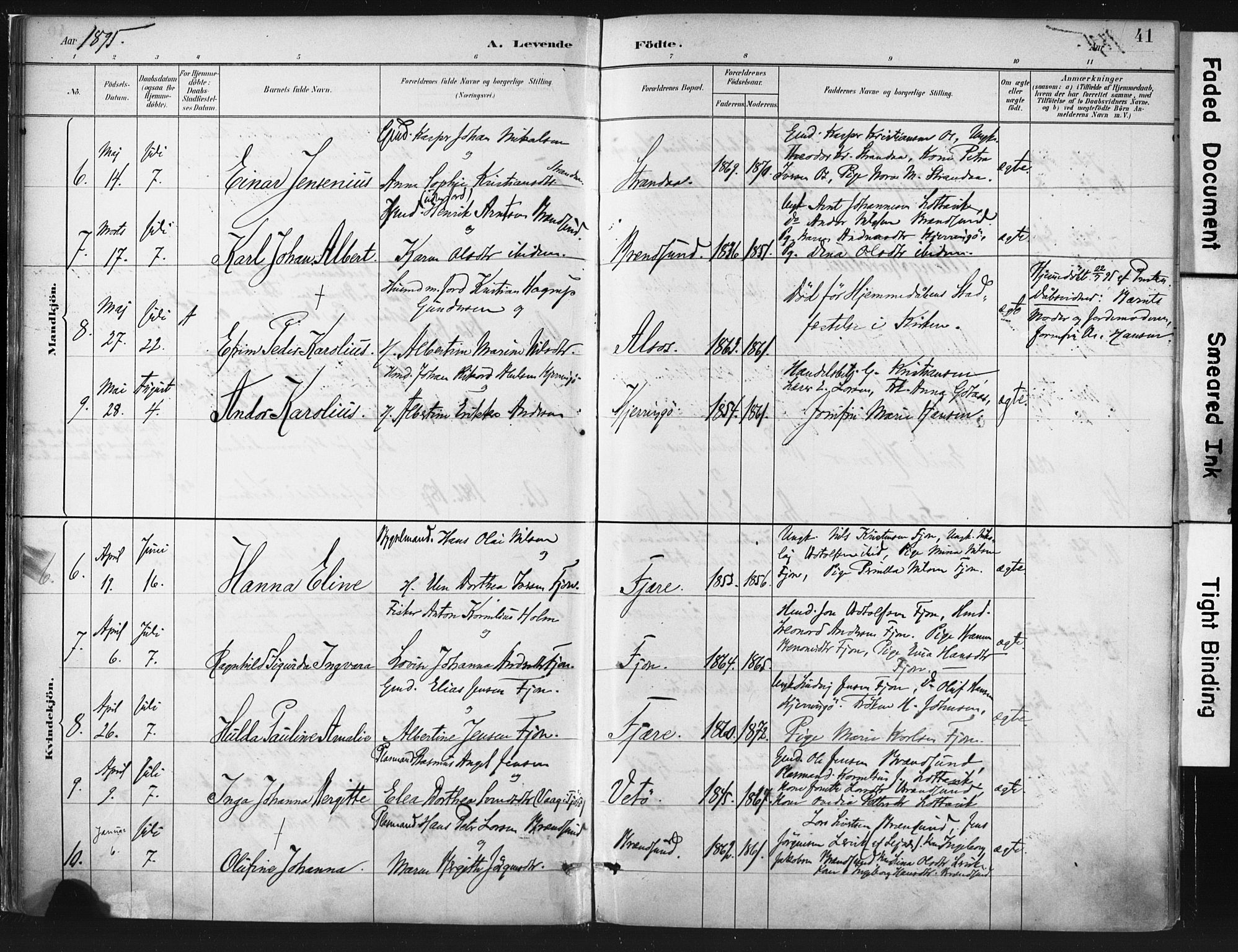 Ministerialprotokoller, klokkerbøker og fødselsregistre - Nordland, AV/SAT-A-1459/803/L0071: Parish register (official) no. 803A01, 1881-1897, p. 41