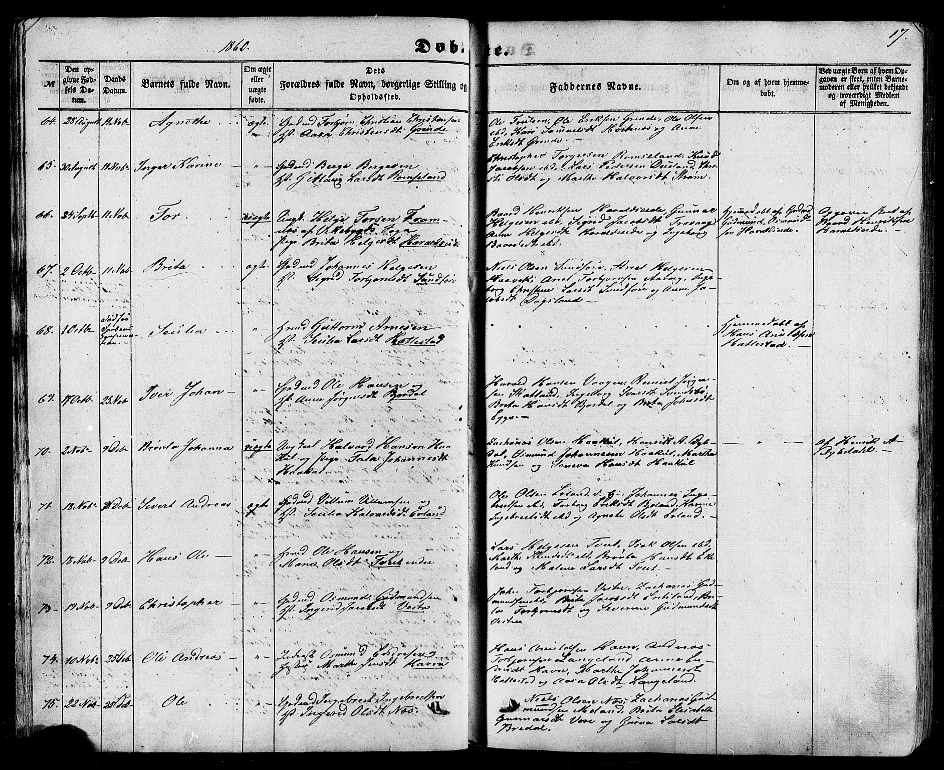 Skjold sokneprestkontor, AV/SAST-A-101847/H/Ha/Haa/L0008: Parish register (official) no. A 8, 1856-1882, p. 17