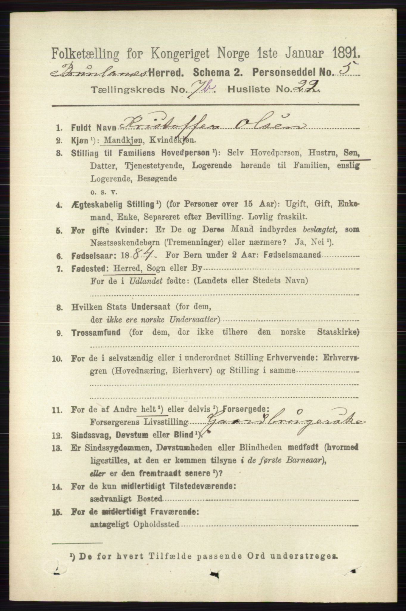 RA, 1891 census for 0726 Brunlanes, 1891, p. 3484