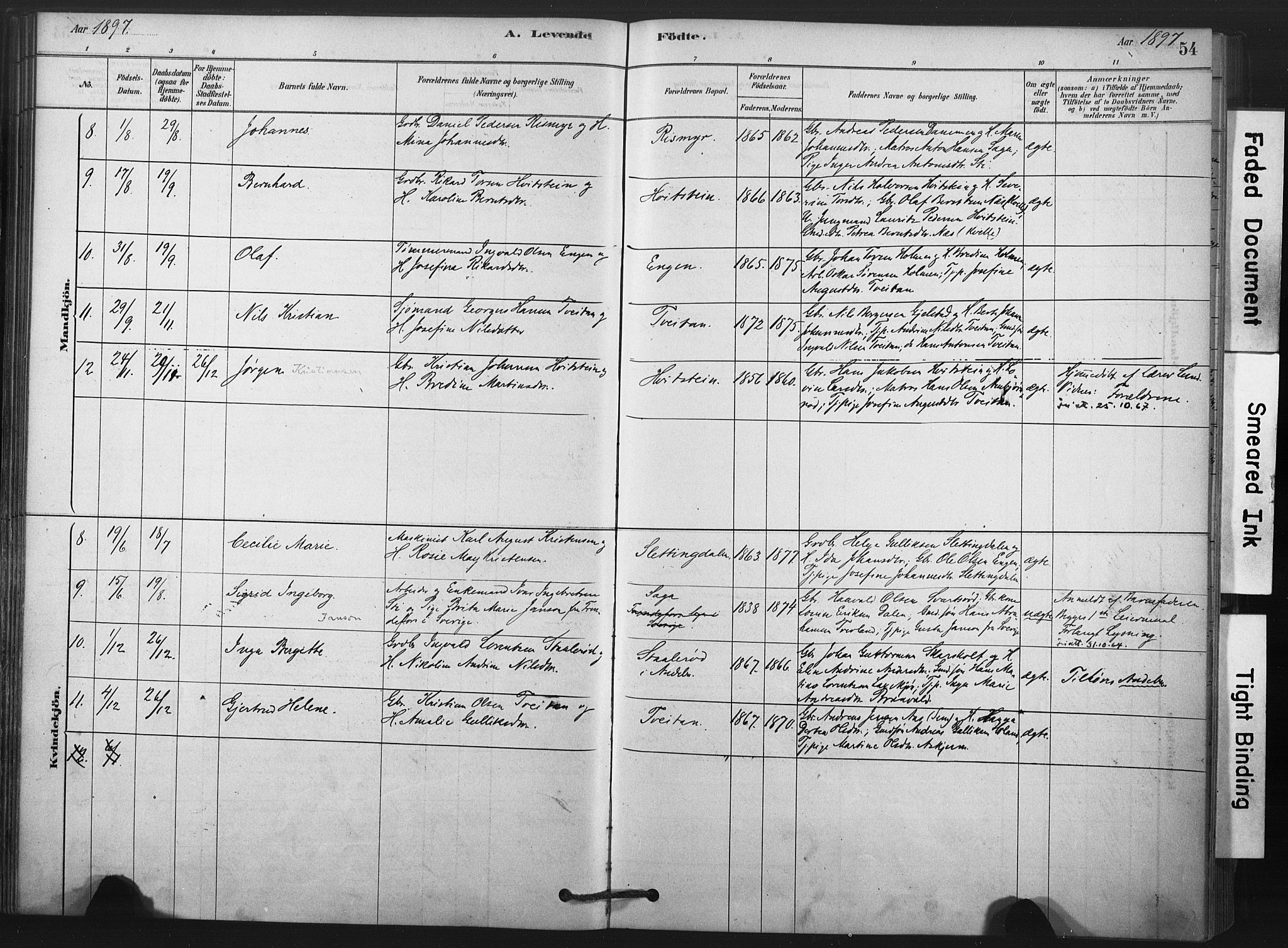 Andebu kirkebøker, AV/SAKO-A-336/F/Fa/L0008: Parish register (official) no. 8, 1878-1902, p. 54