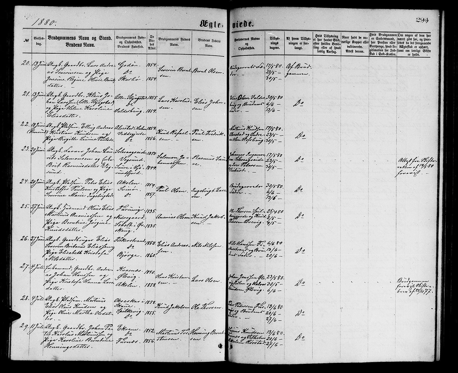 Ministerialprotokoller, klokkerbøker og fødselsregistre - Møre og Romsdal, AV/SAT-A-1454/528/L0429: Parish register (copy) no. 528C10, 1872-1886, p. 294