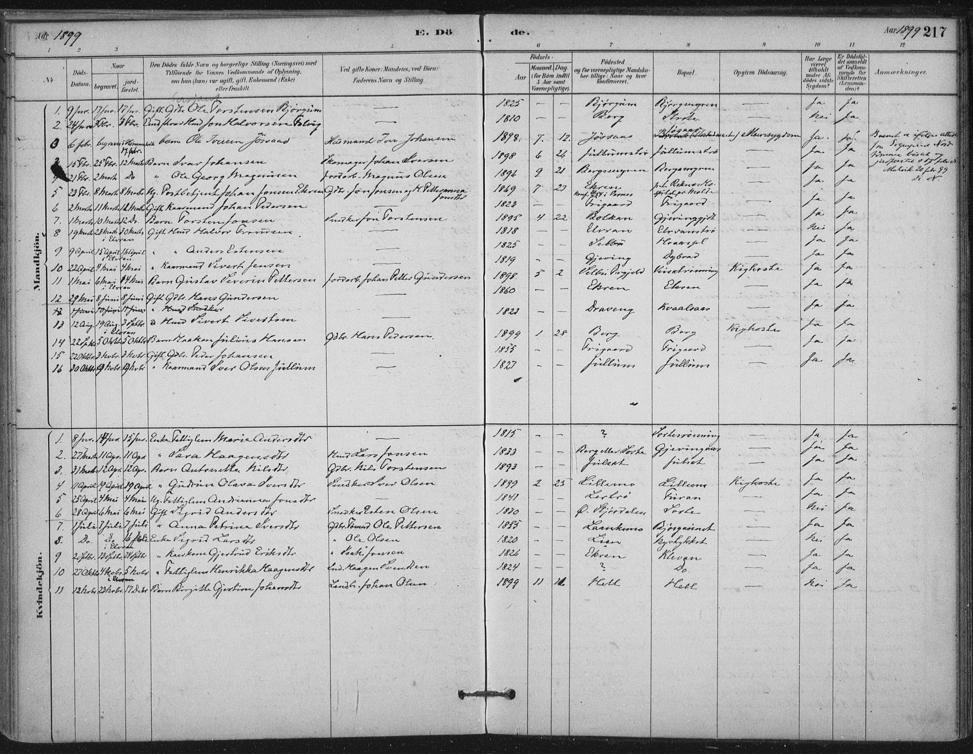 Ministerialprotokoller, klokkerbøker og fødselsregistre - Nord-Trøndelag, SAT/A-1458/710/L0095: Parish register (official) no. 710A01, 1880-1914, p. 217