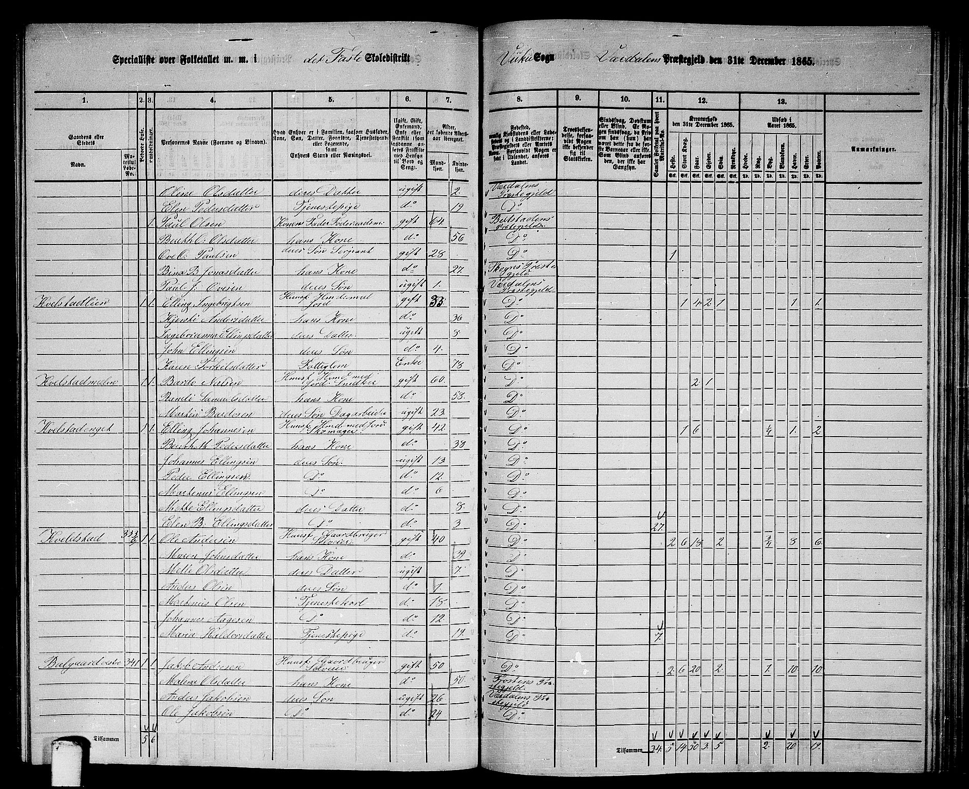 RA, 1865 census for Verdal, 1865, p. 213